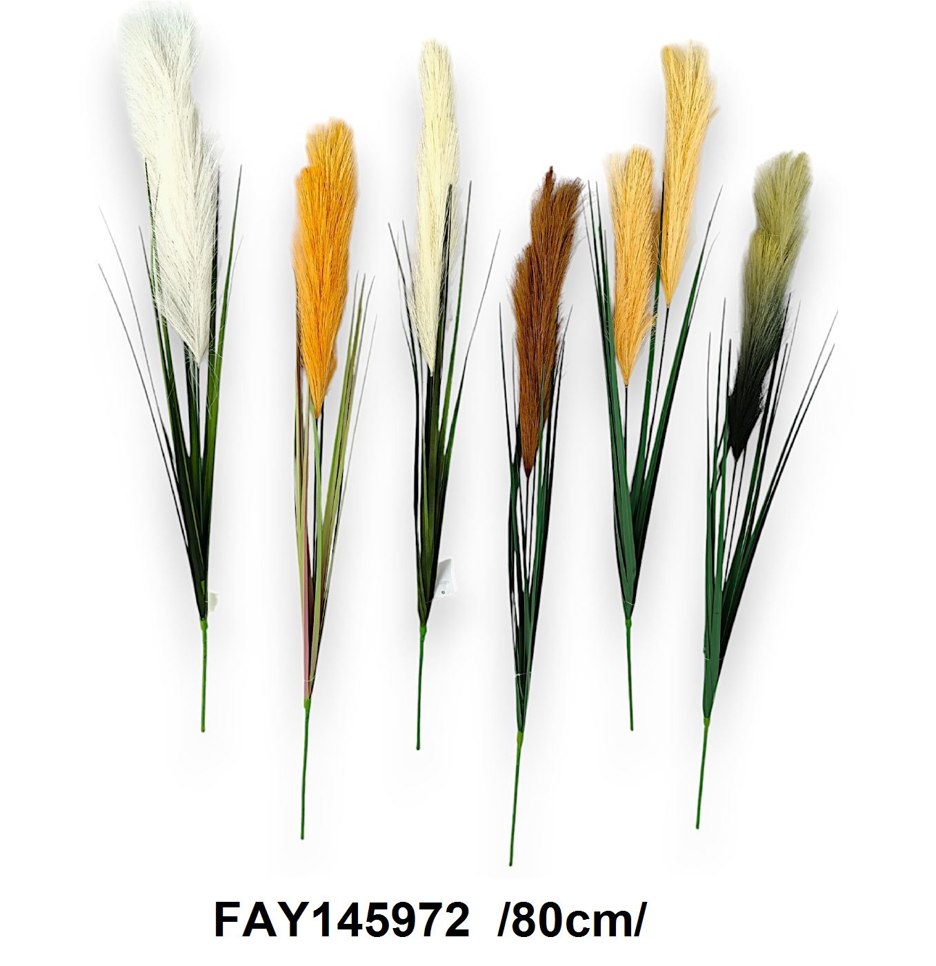 FAY145972