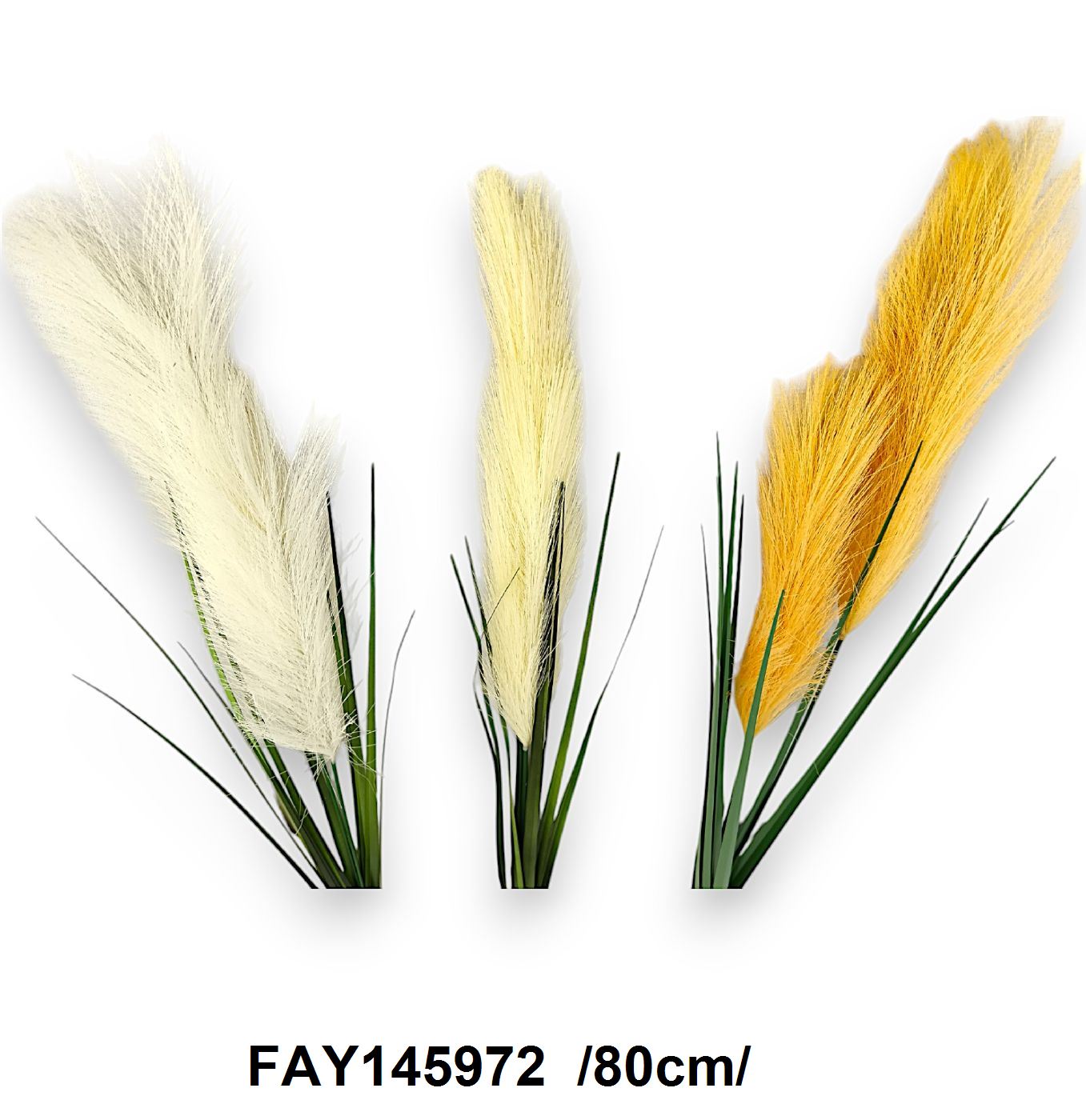 FAY145972