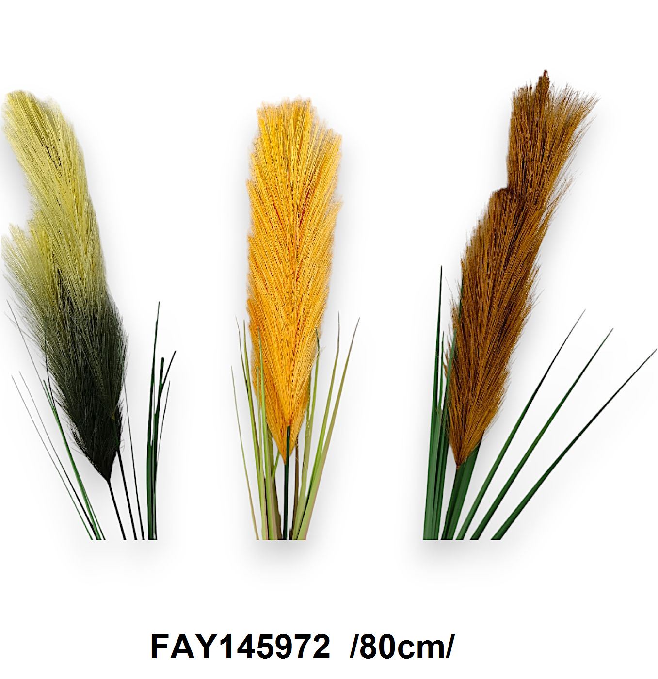 FAY145972