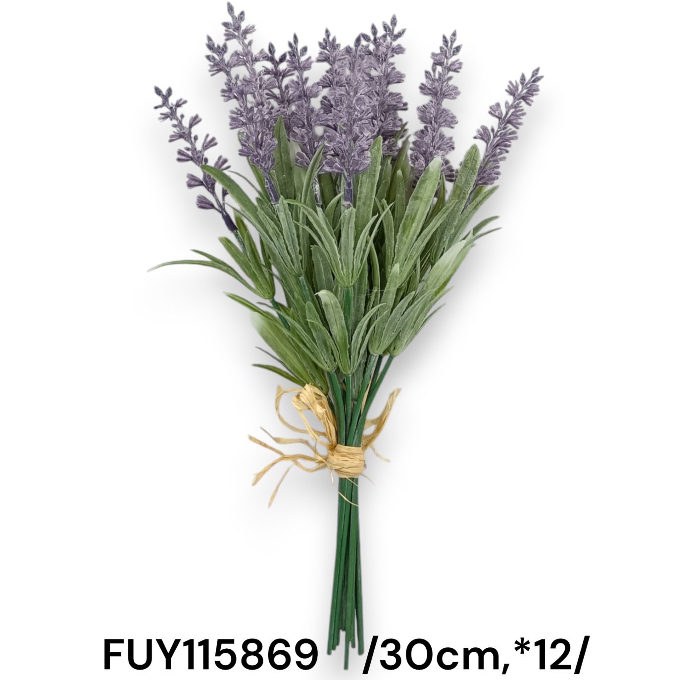 FUY115869