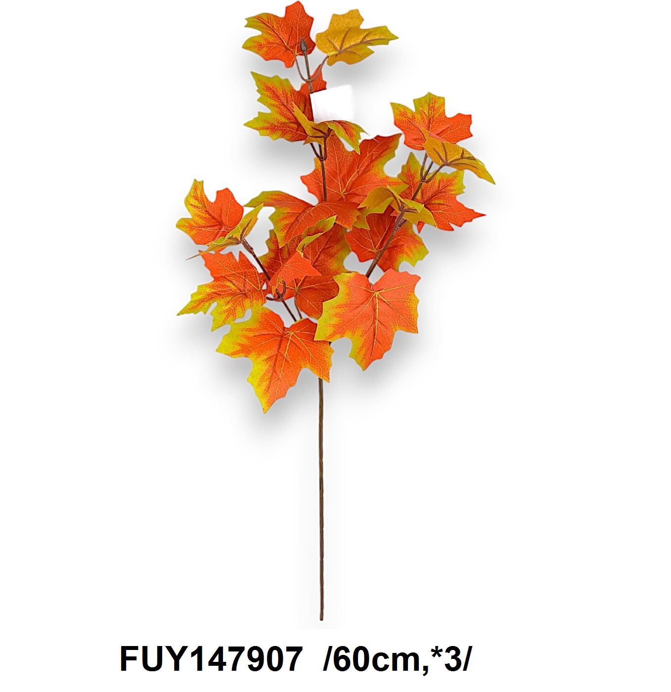 FUY147907