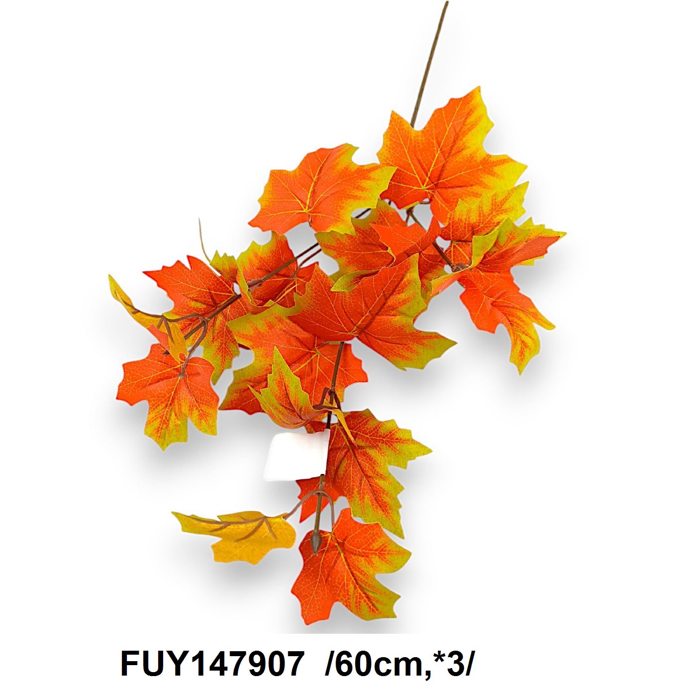 FUY147907