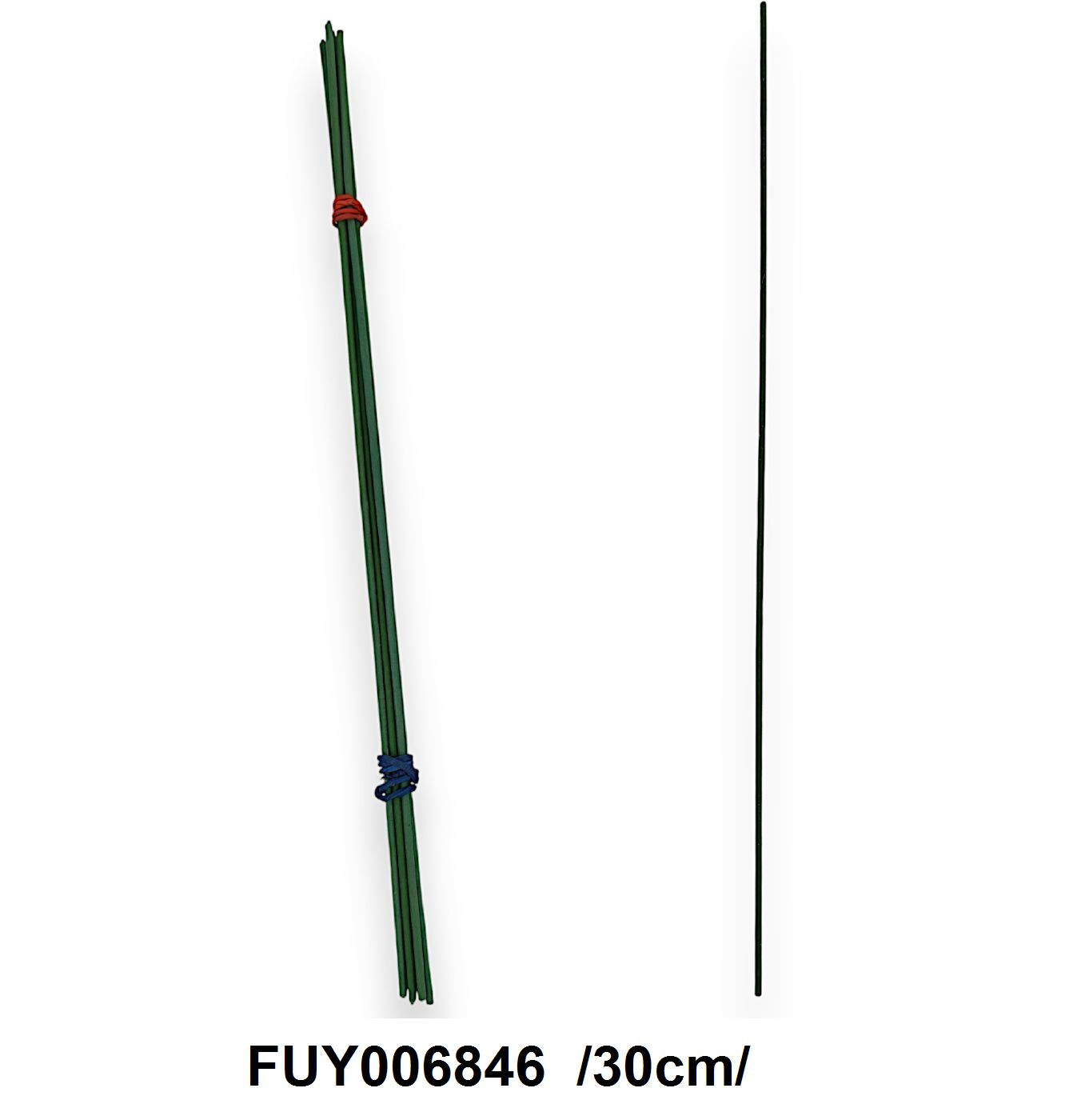 FUY006846