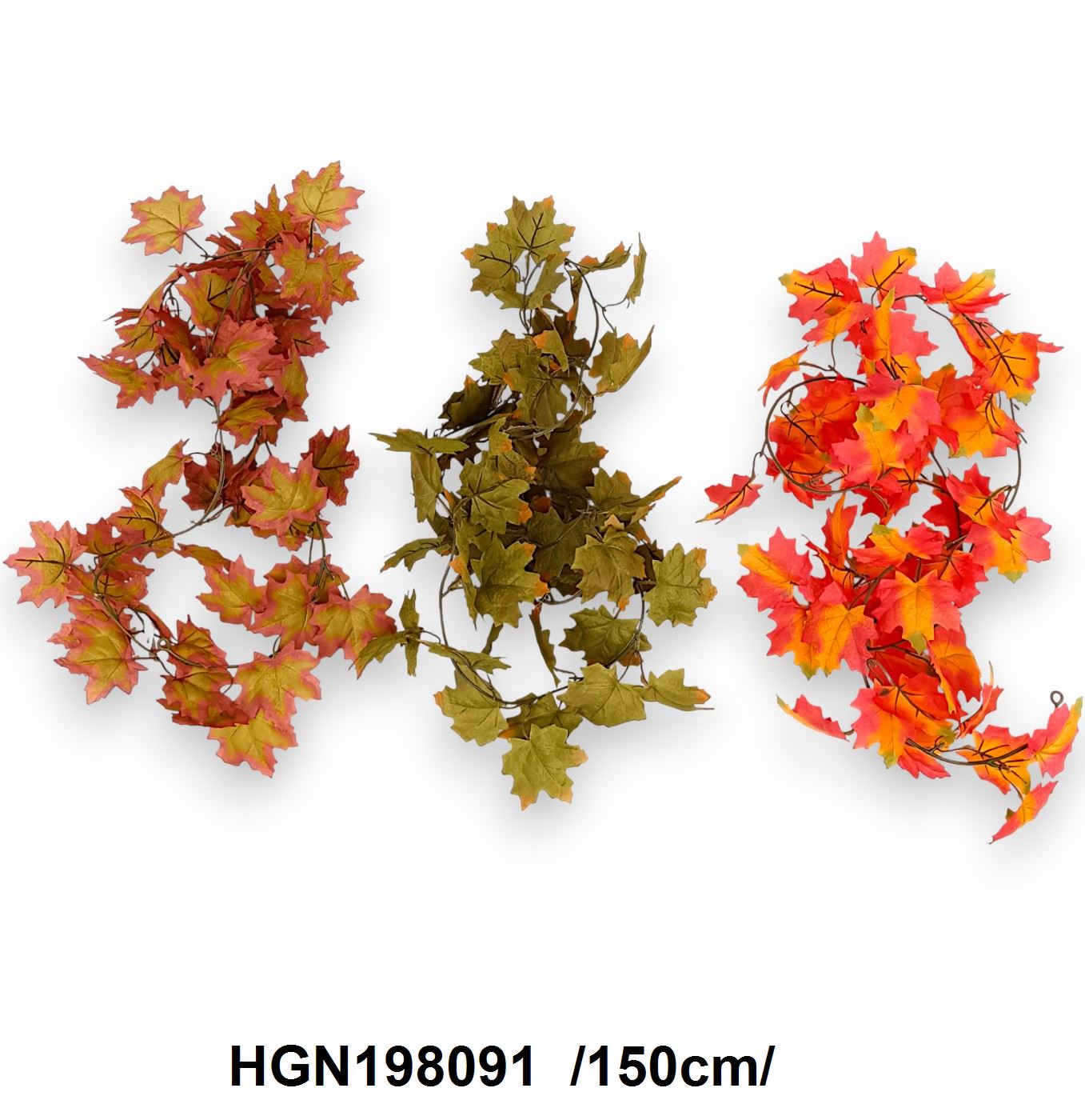 HGN198091