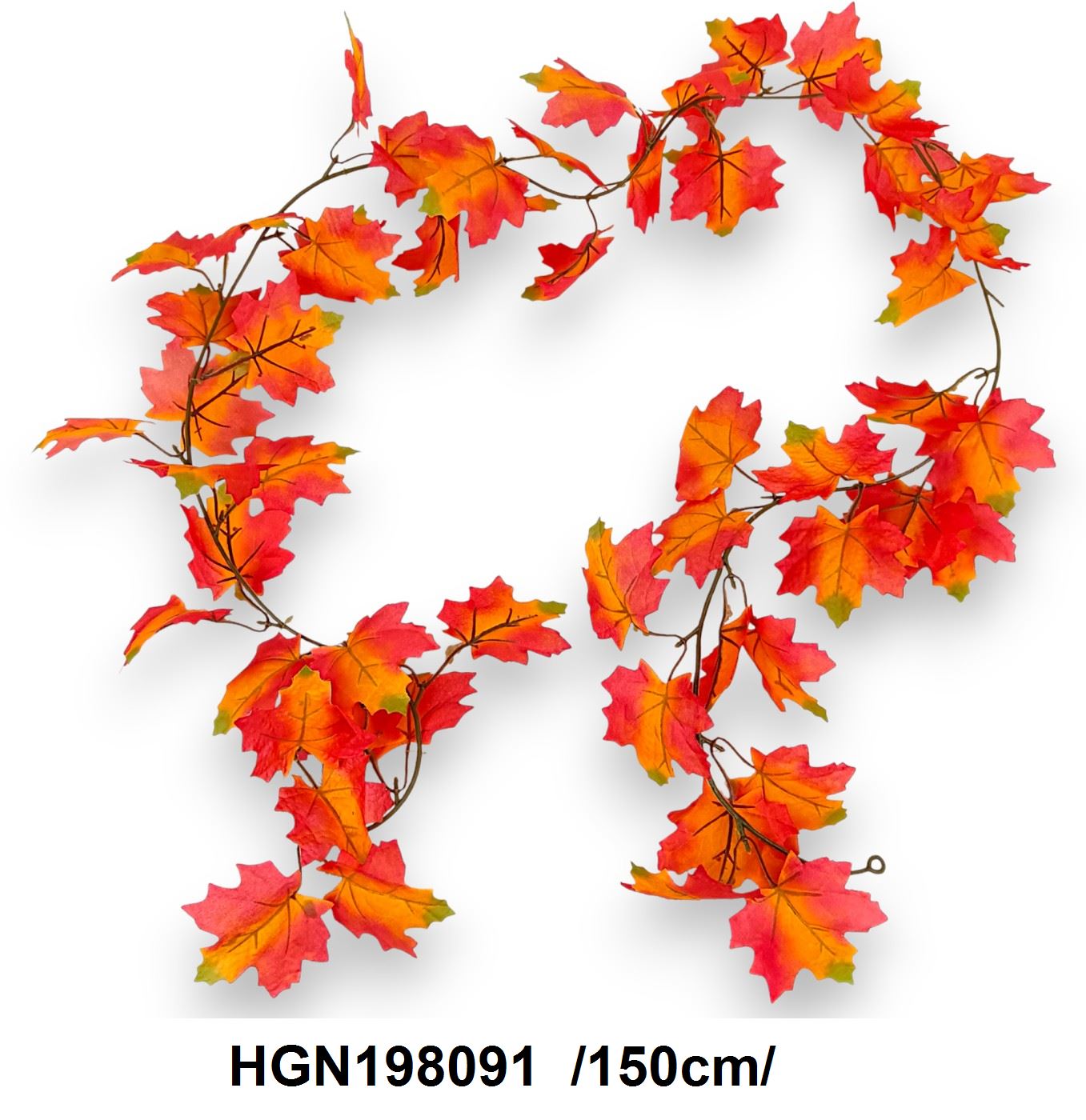 HGN198091