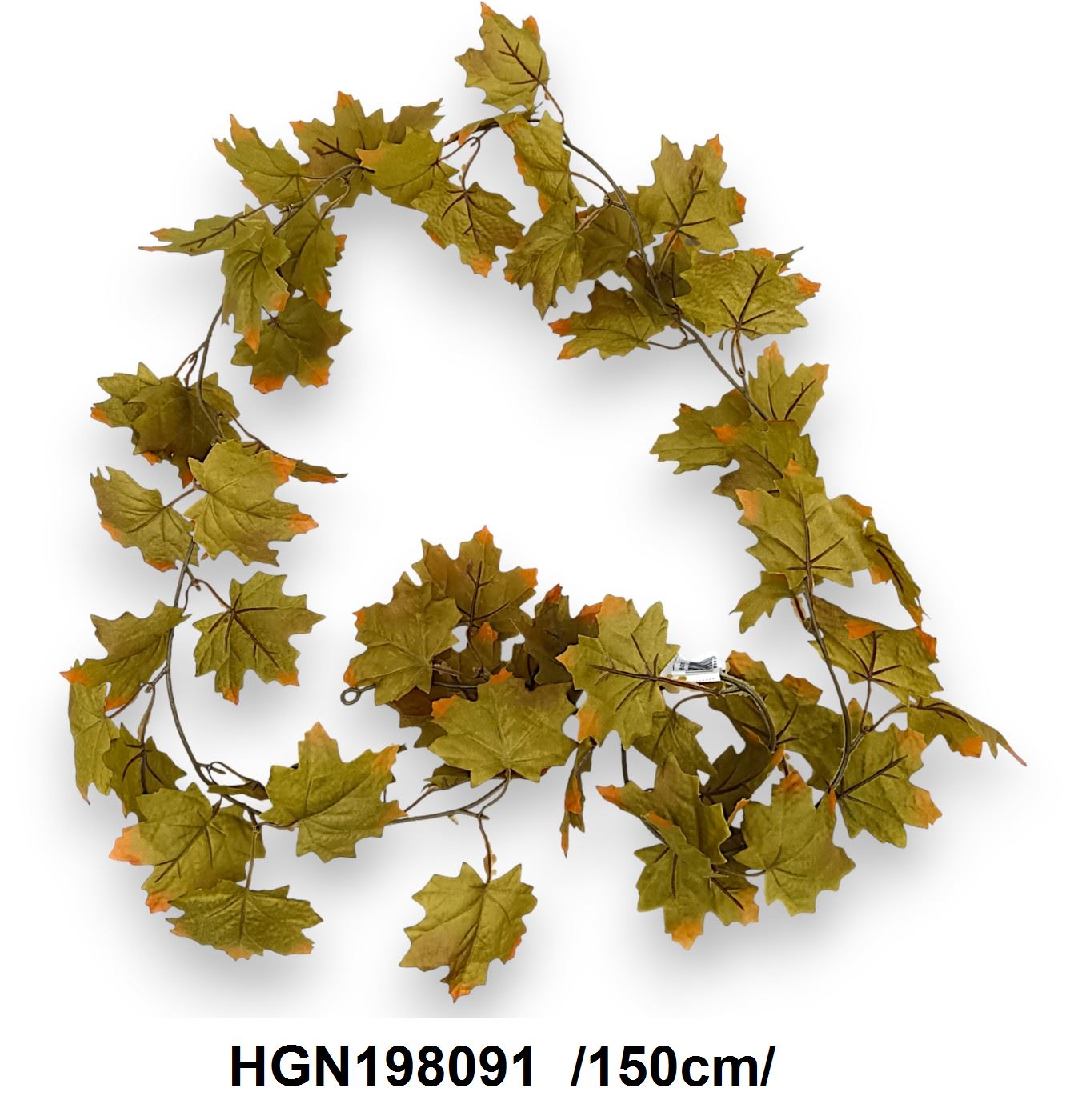 HGN198091