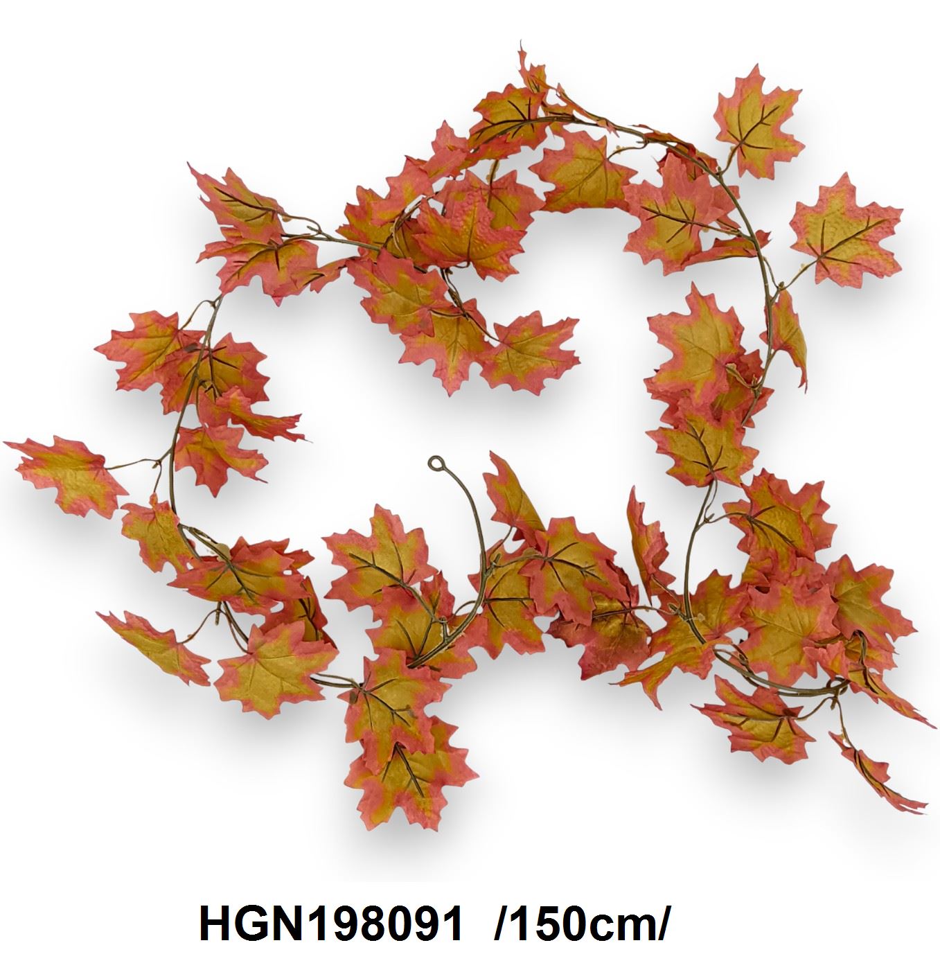 HGN198091