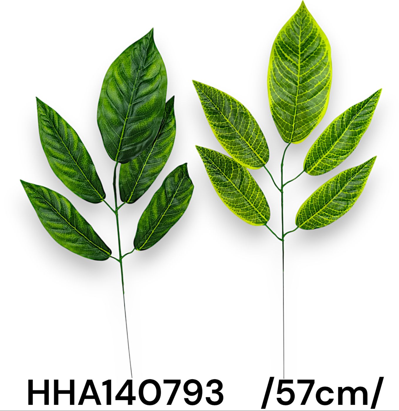 HHA140793