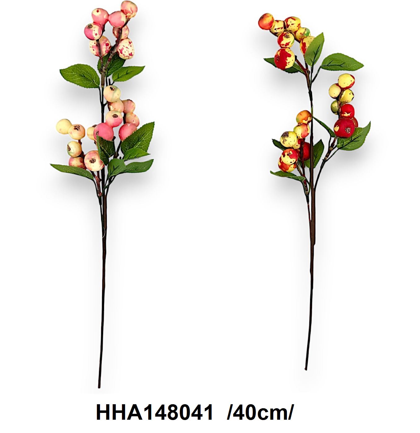 HHA148041