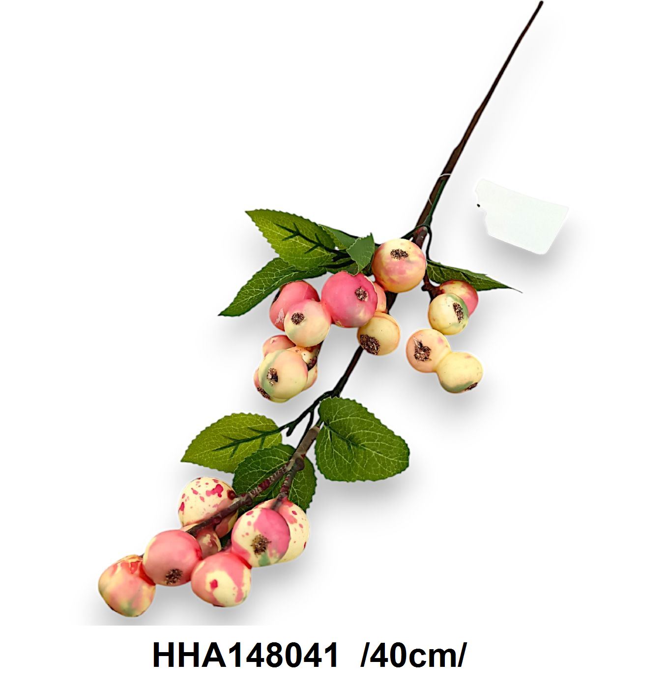 HHA148041
