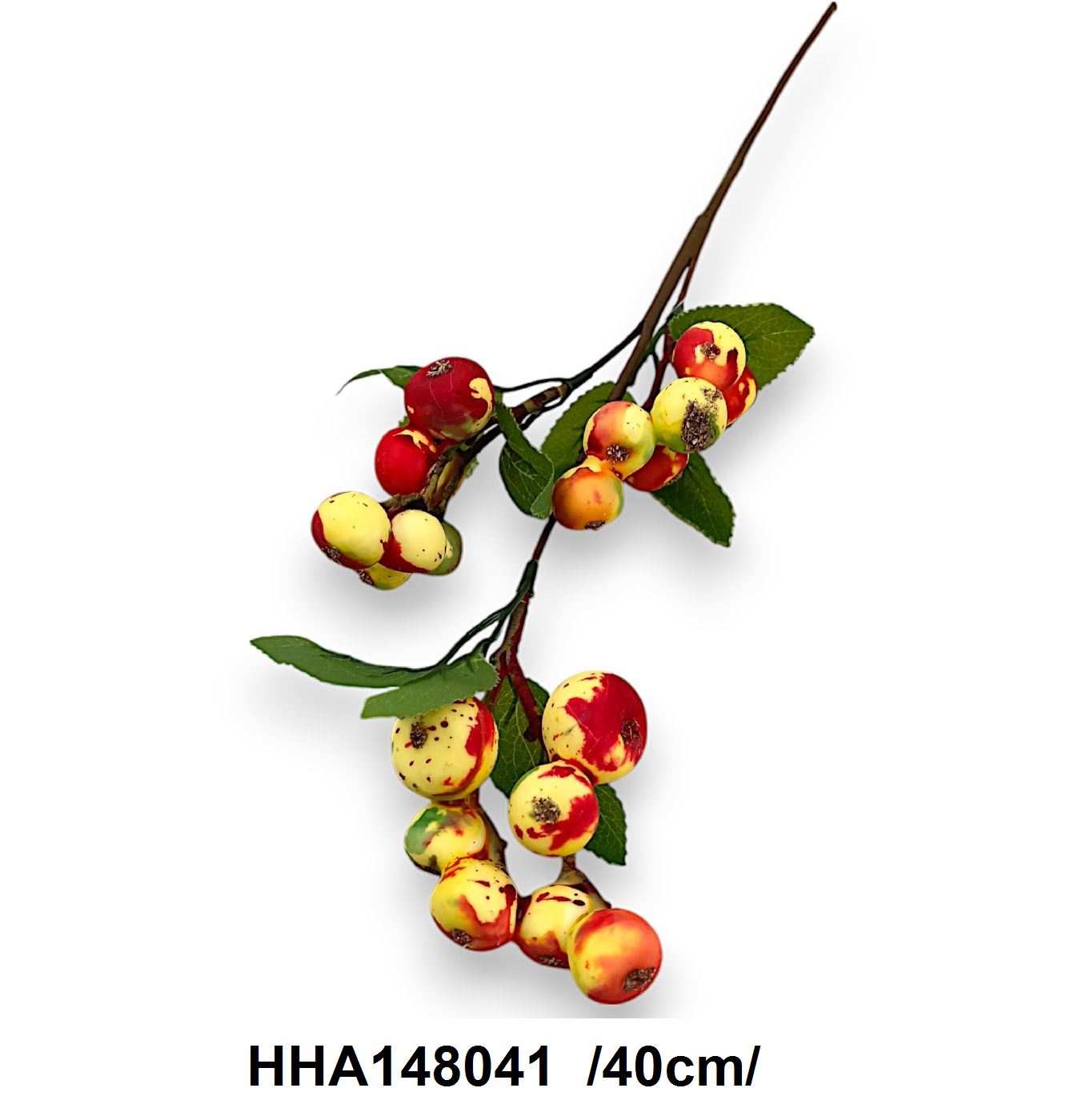 HHA148041