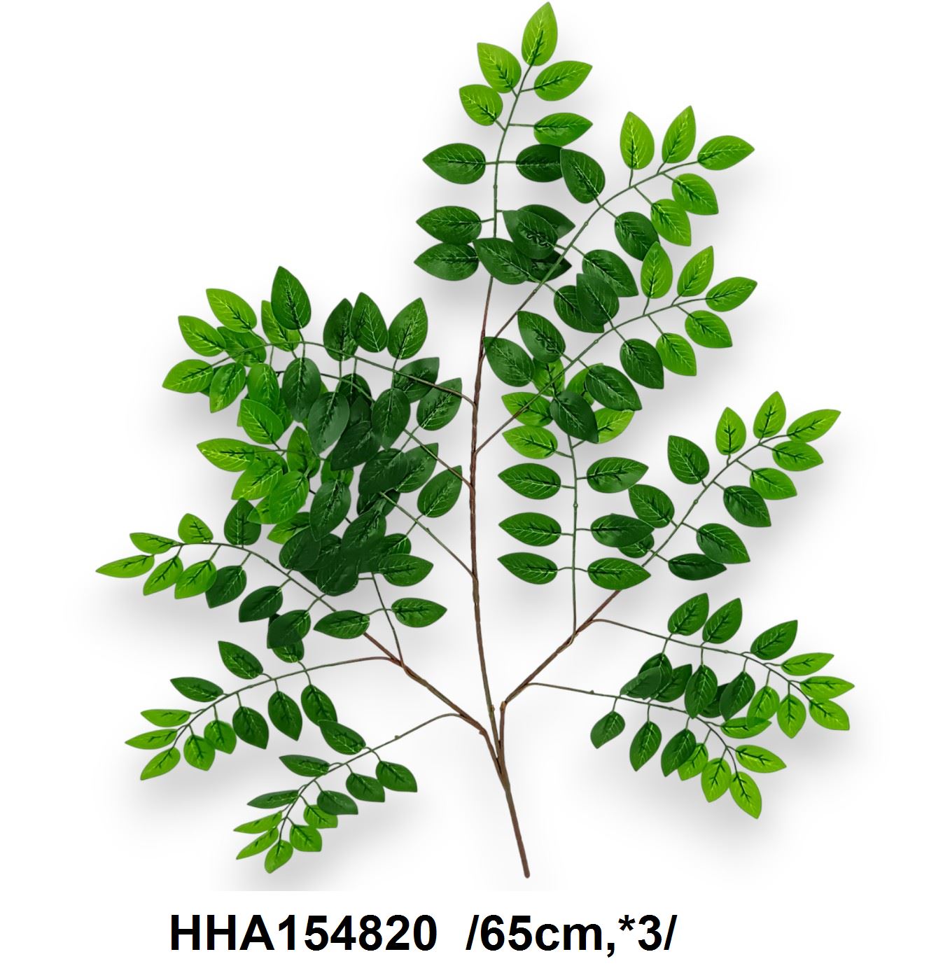 HHA154820