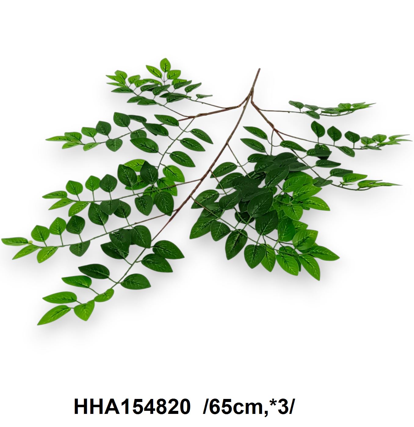 HHA154820