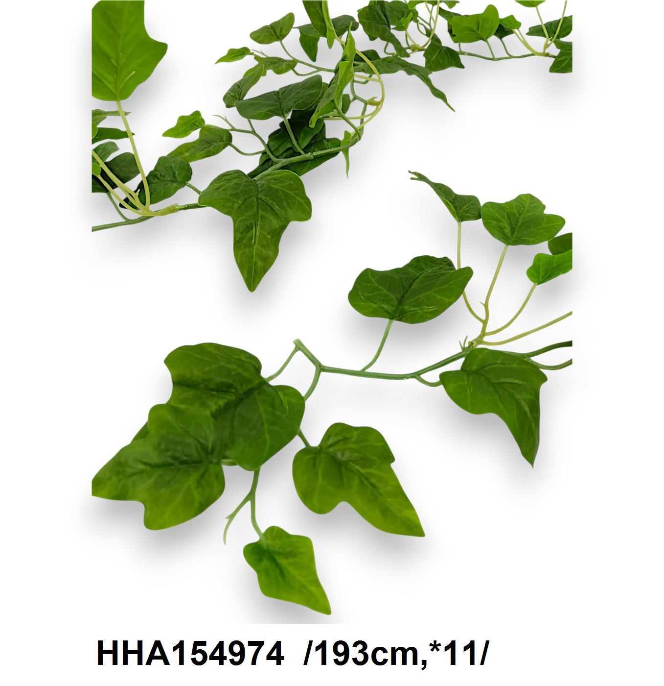 HHA154974