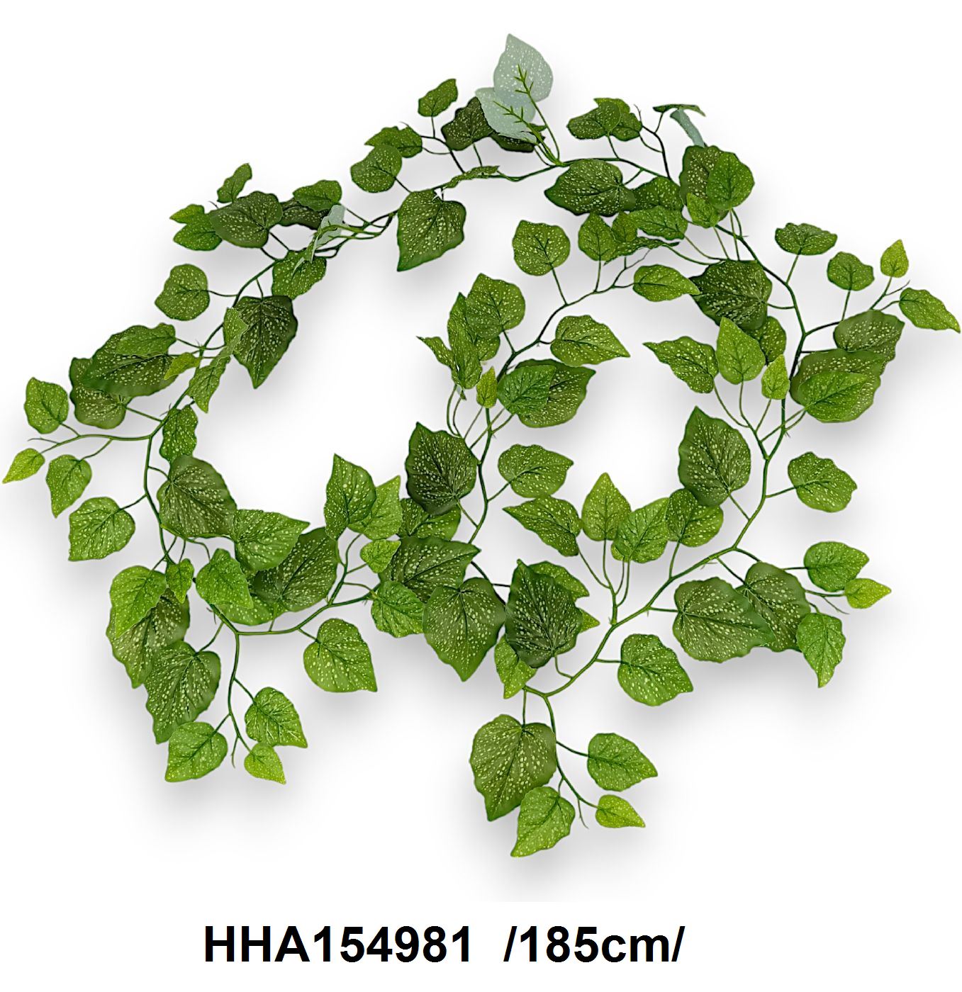HHA154981
