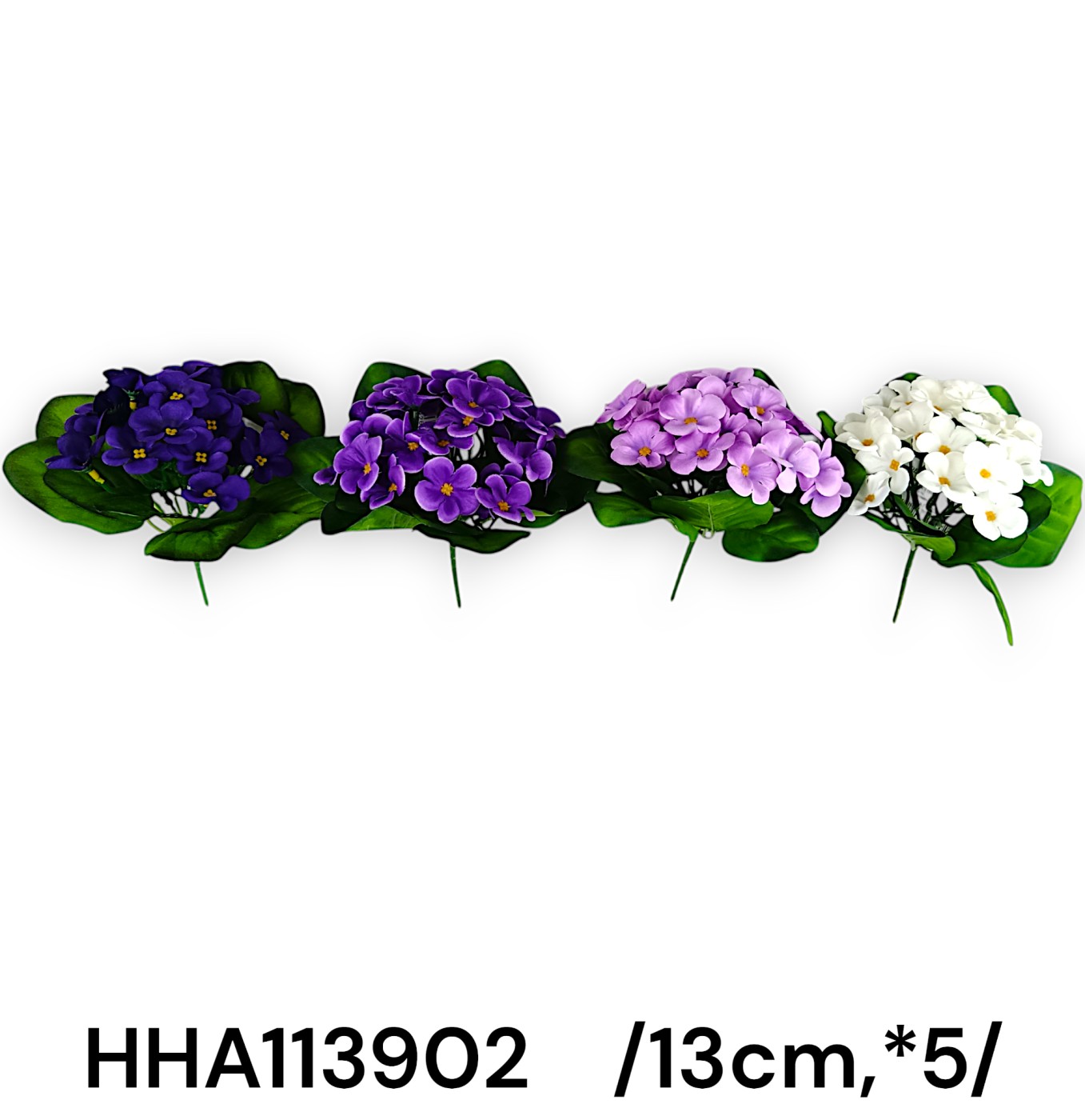 HHA113902