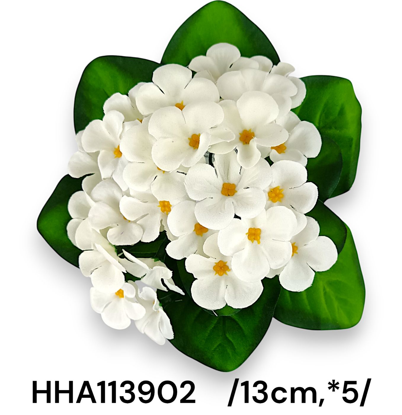 HHA113902