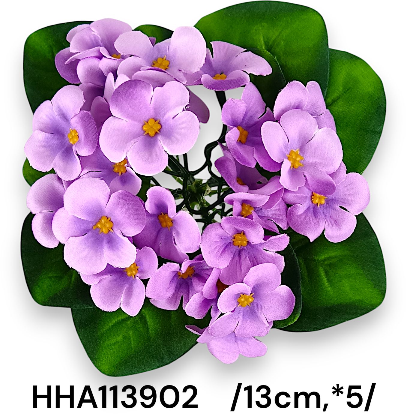 HHA113902