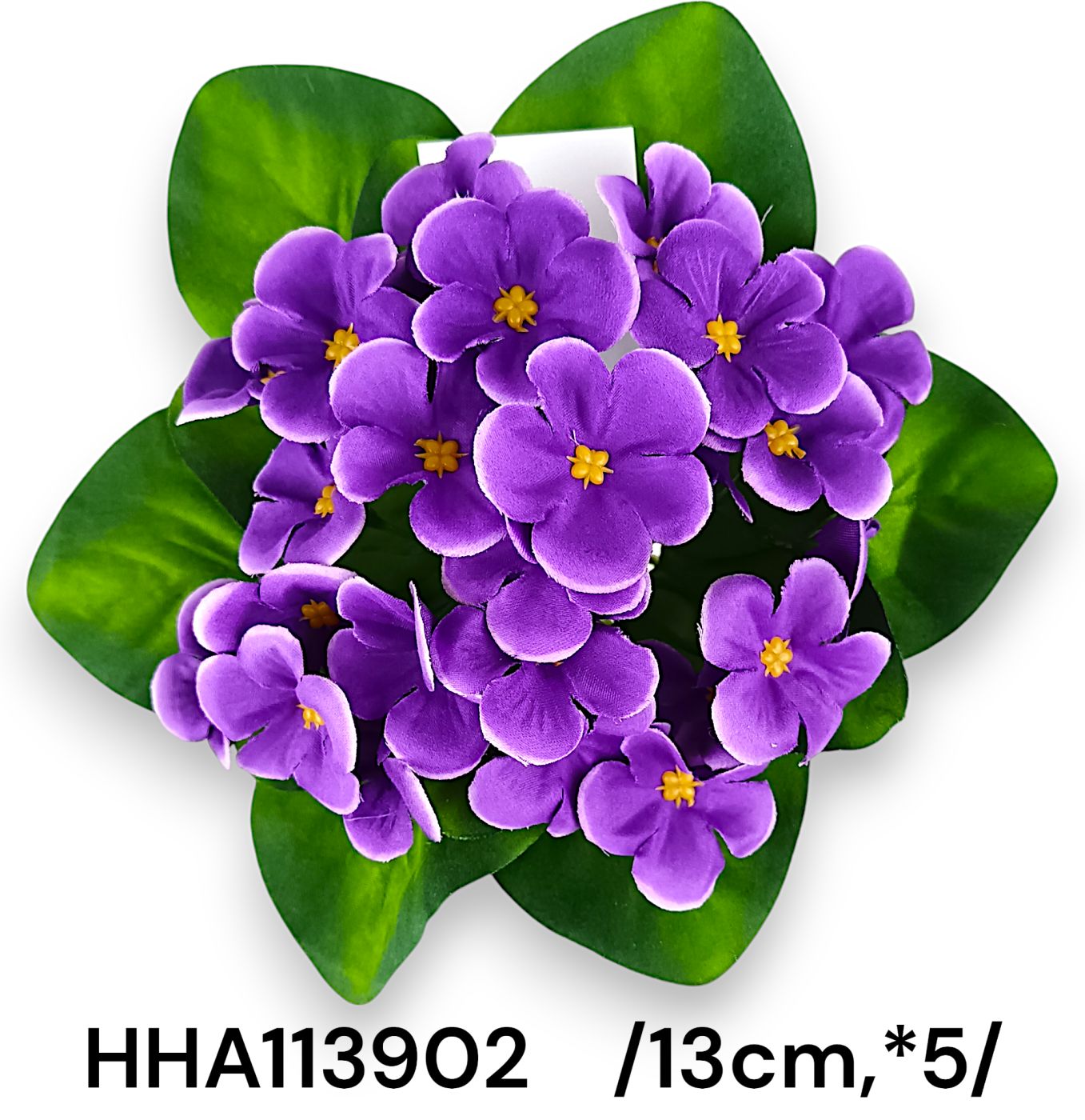 HHA113902