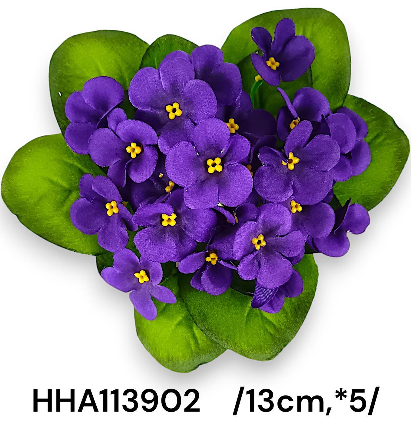 HHA113902