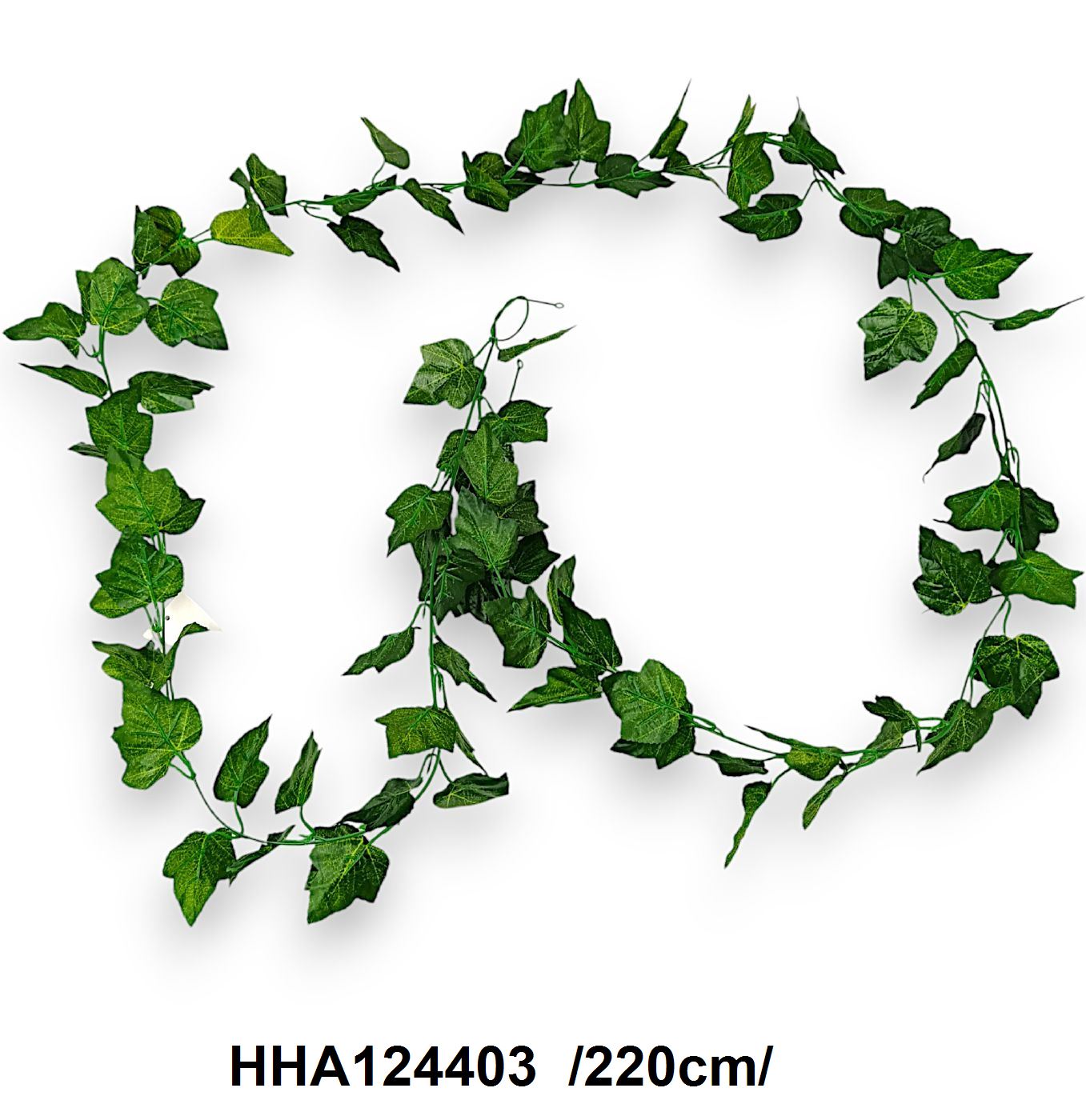 HHA124403
