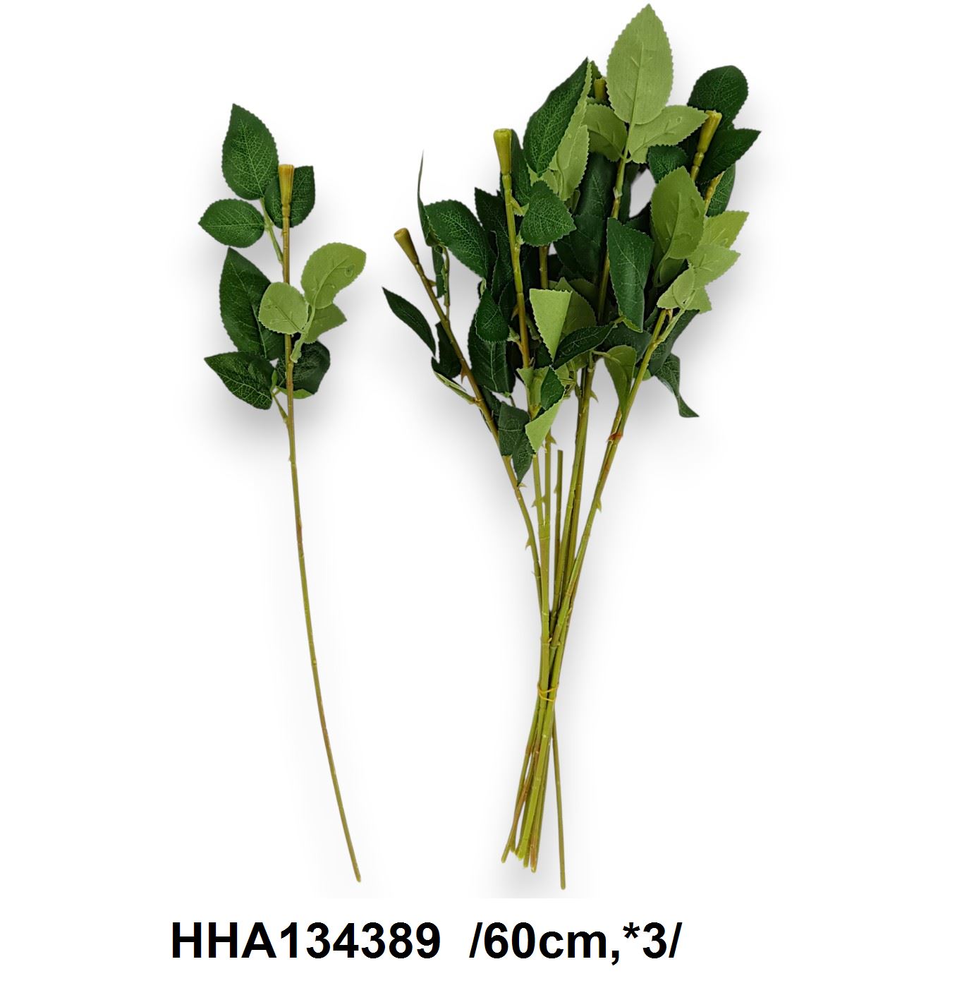 HHA134389