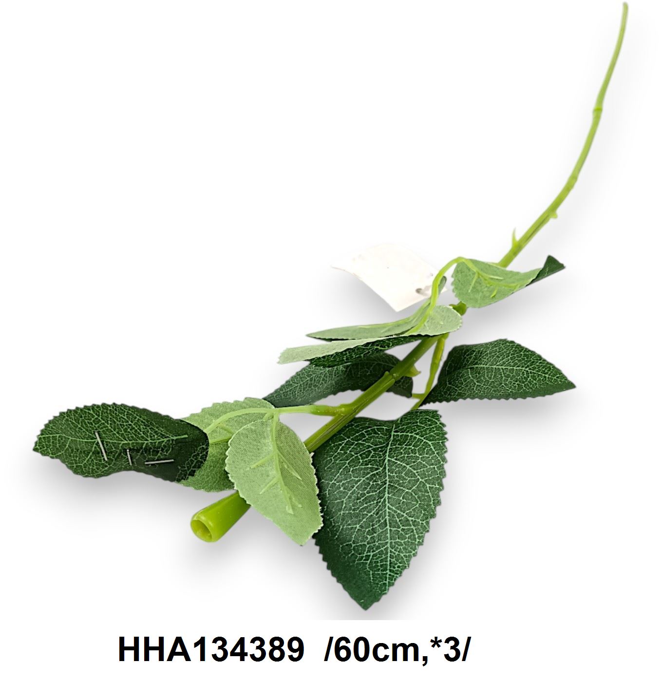 HHA134389