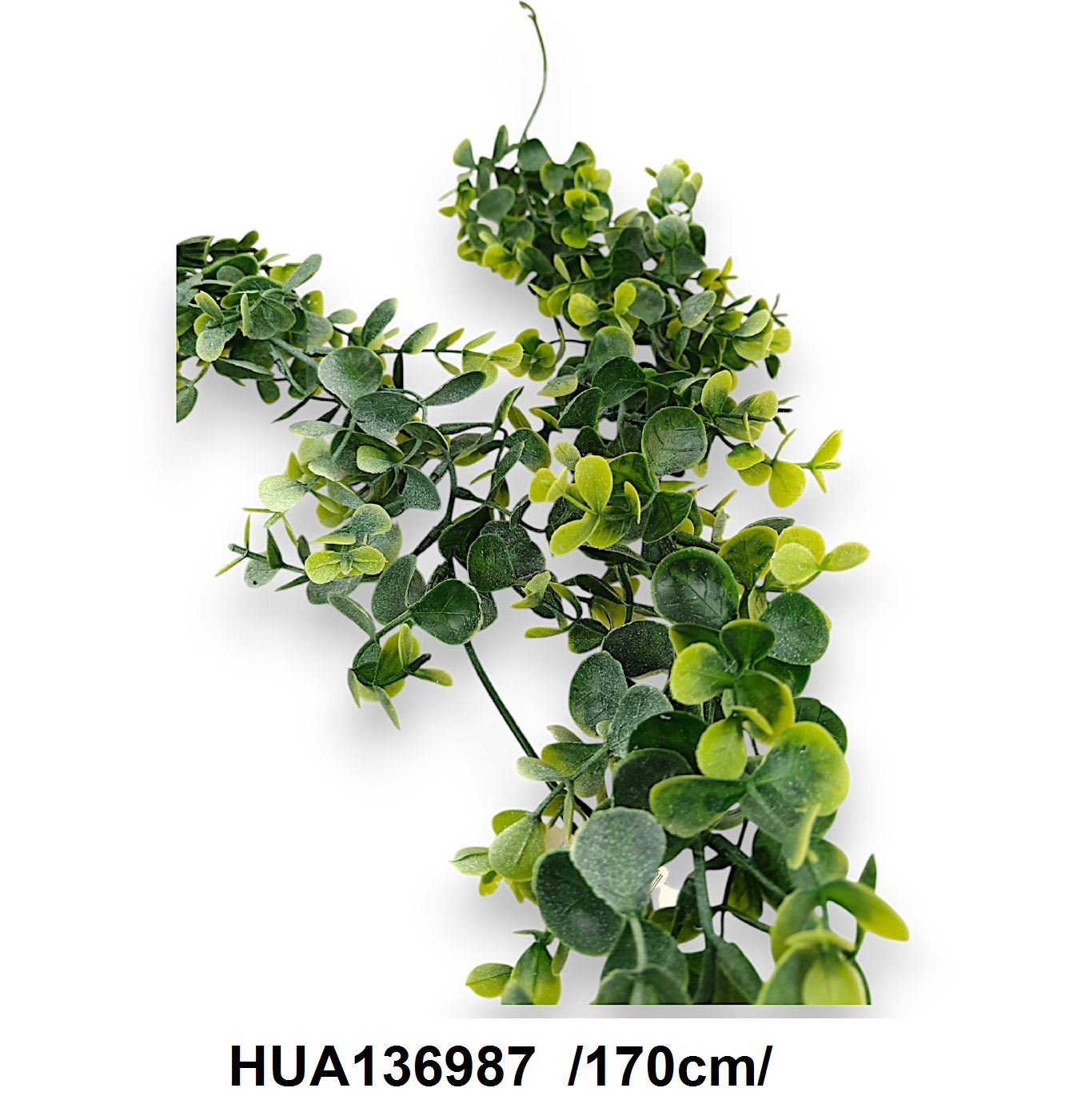 HUA136987