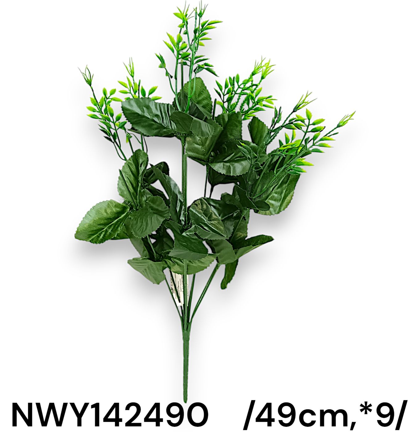 NWY142490