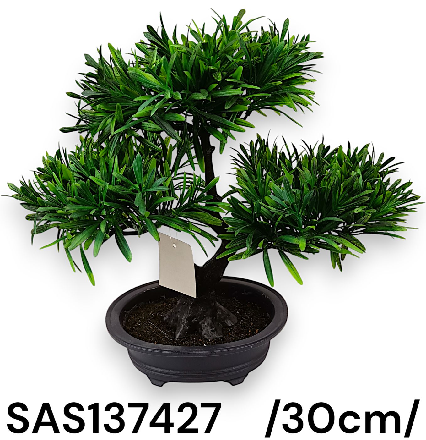 SAS137427