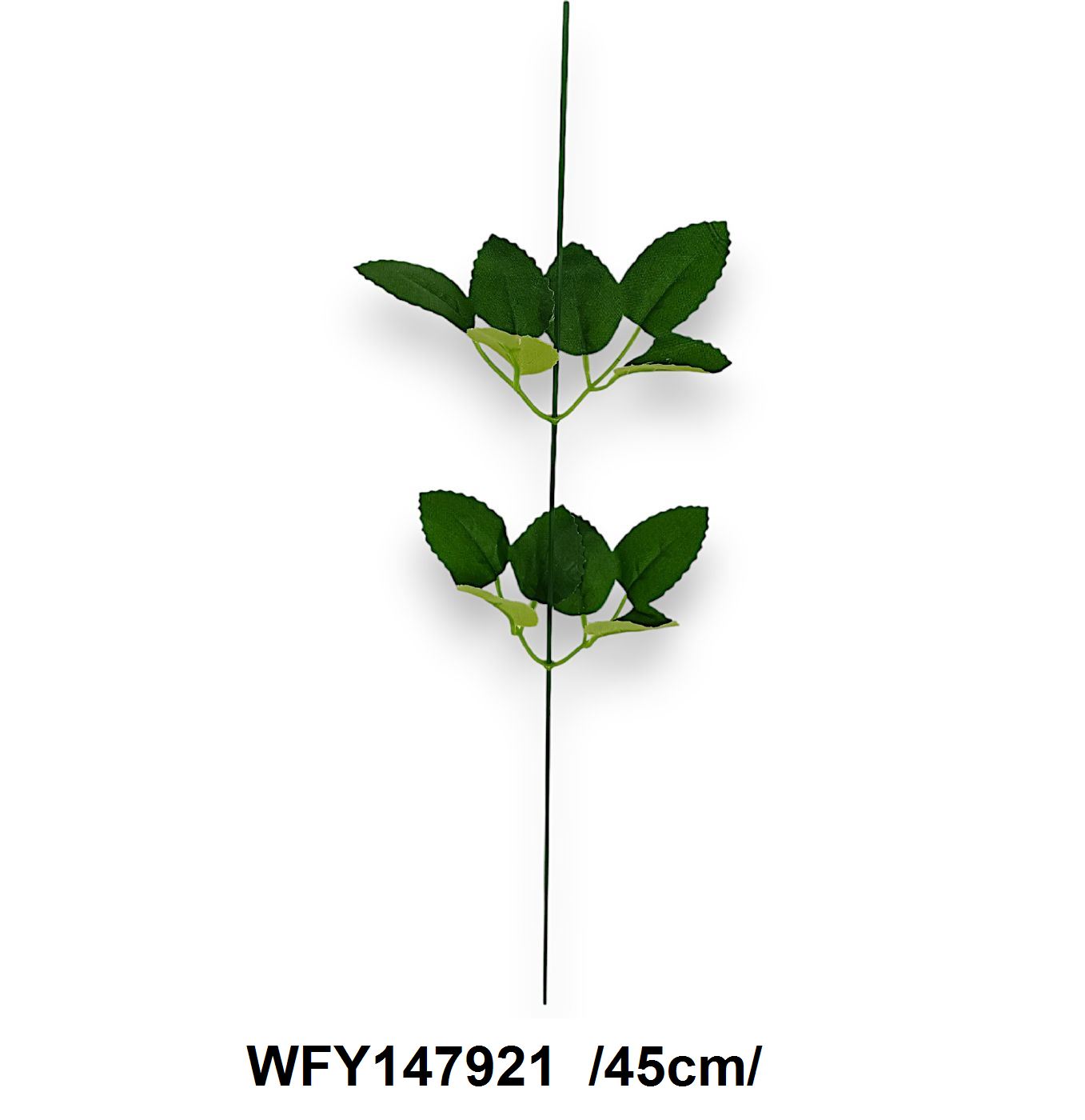 WFY147921