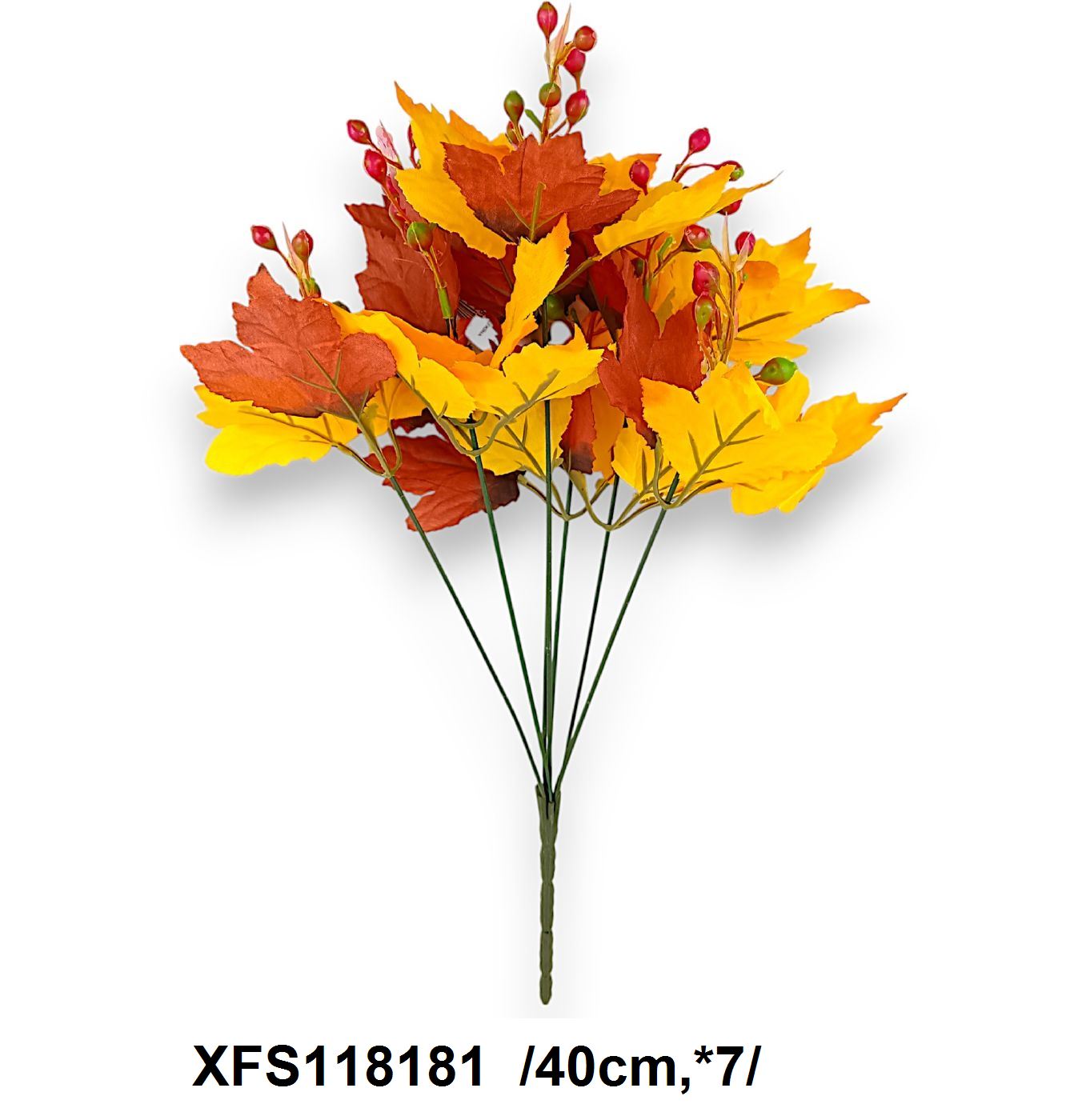 XFS118181