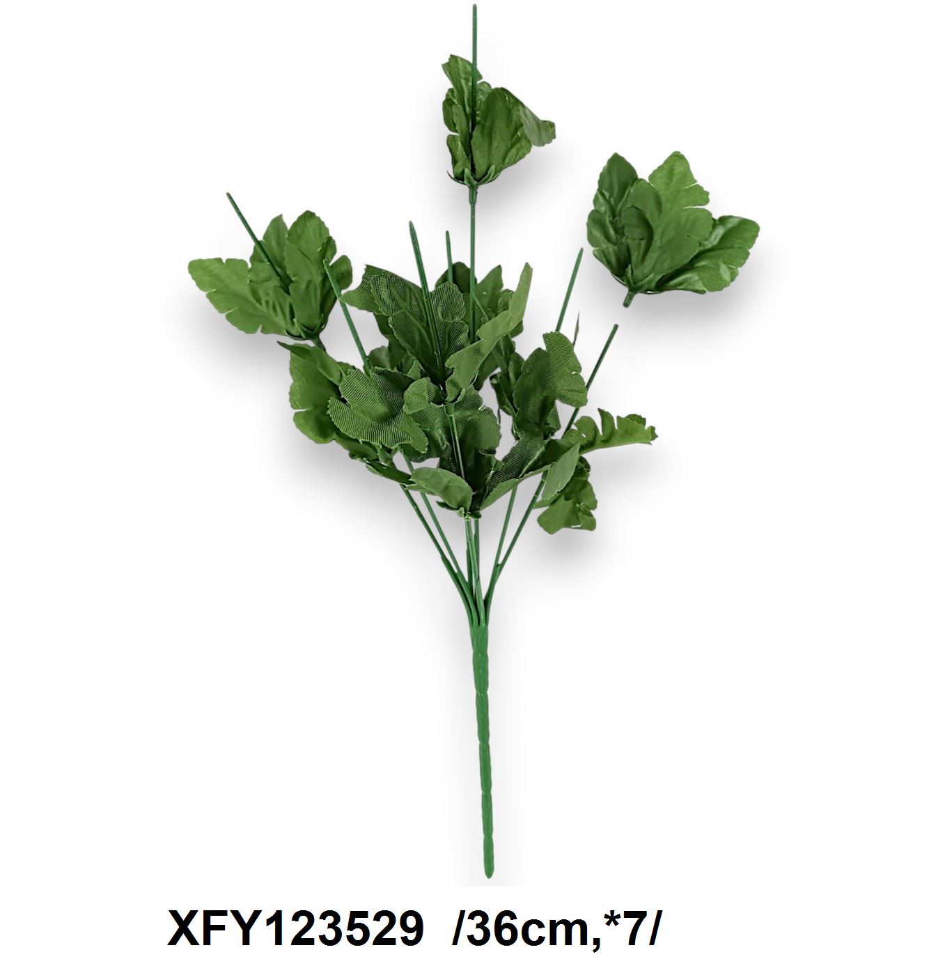 XFY123529