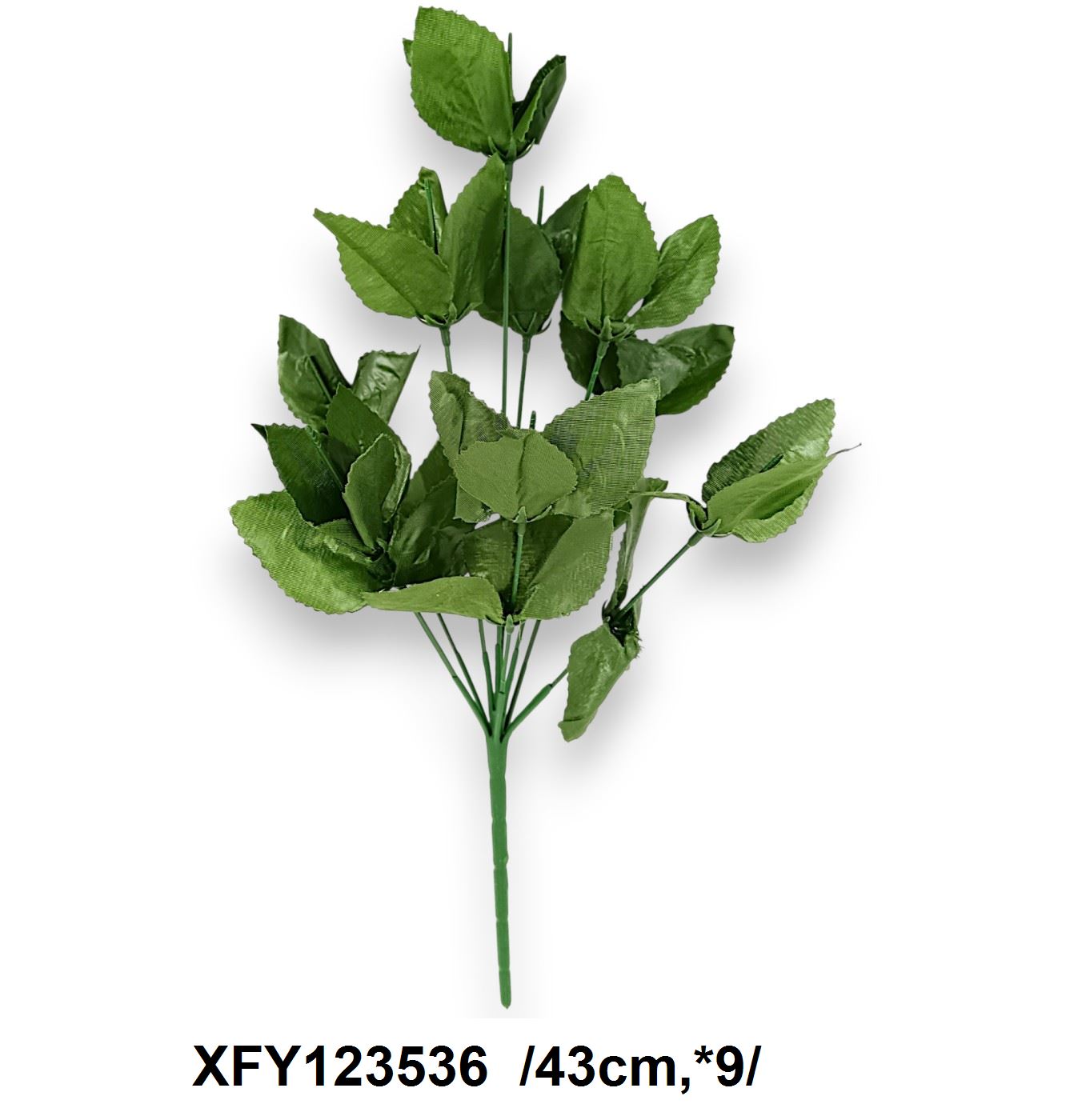 XFY123536