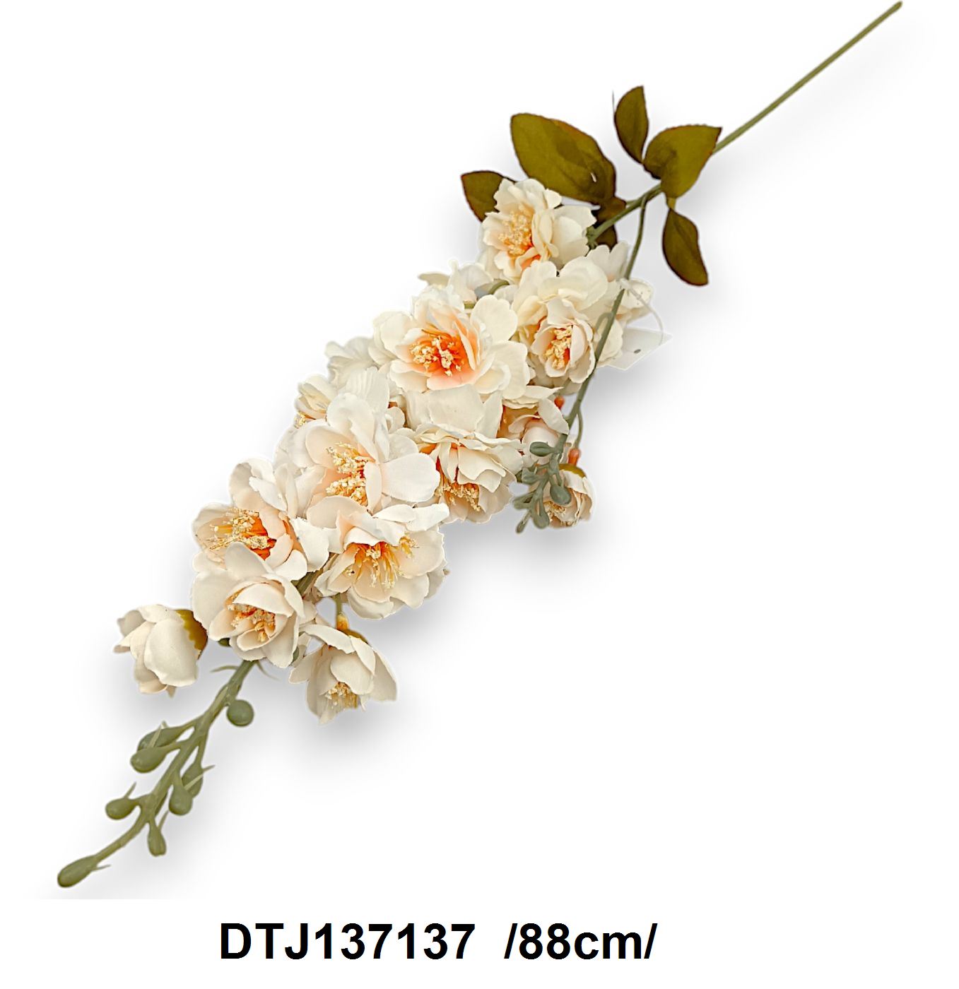 DTJ137137