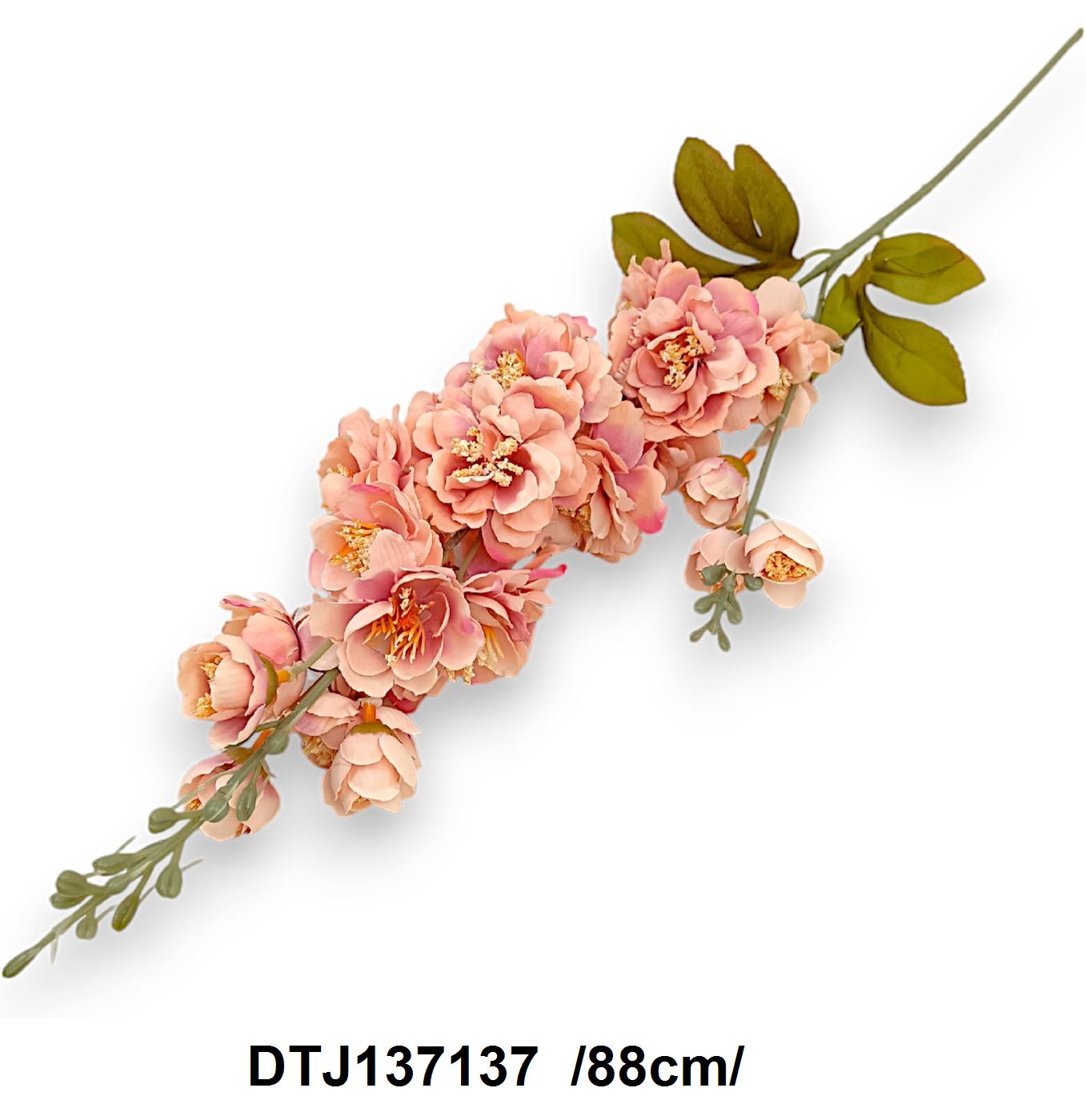 DTJ137137