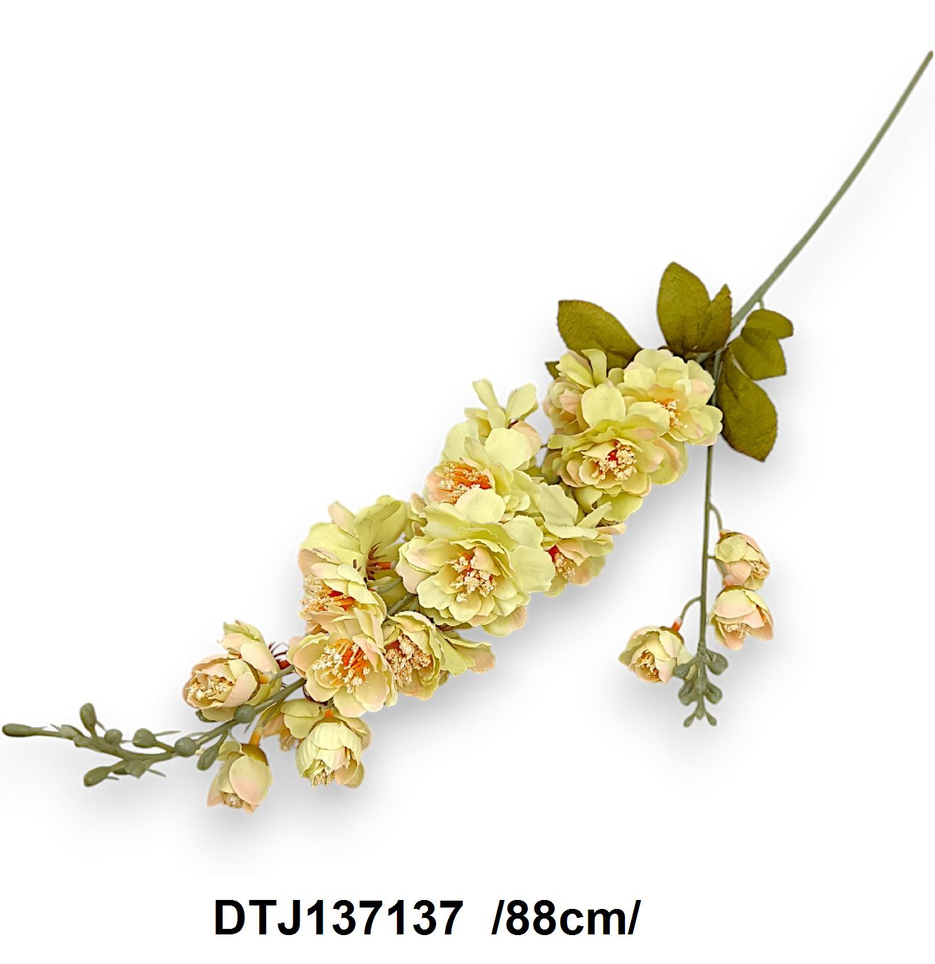 DTJ137137
