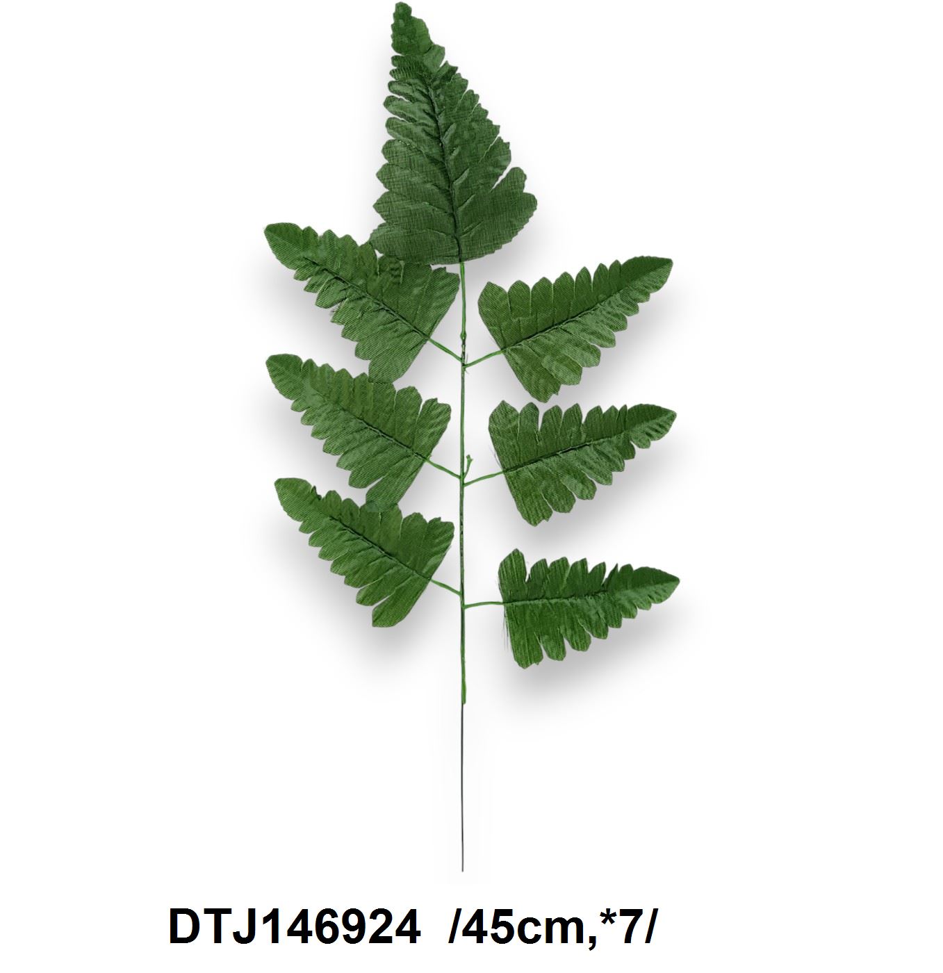 DTJ146924