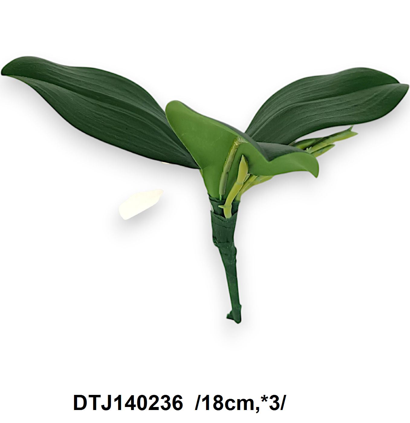 DTJ140236