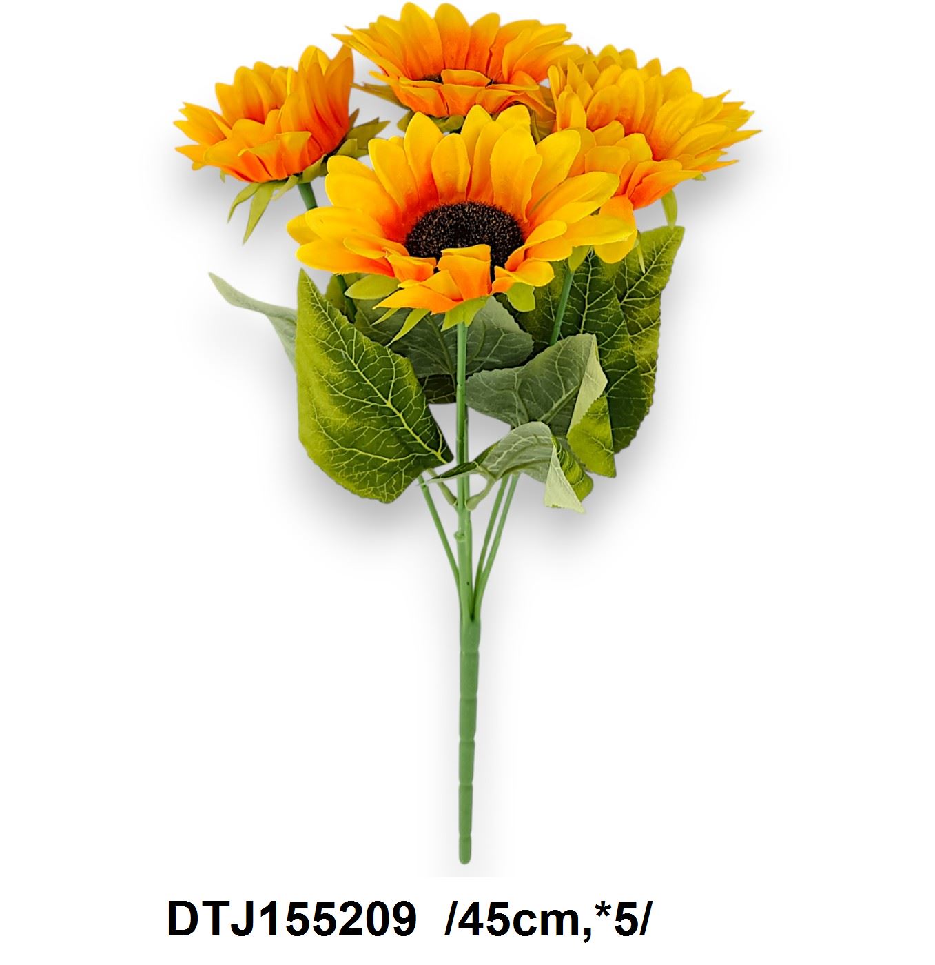 DTJ155209