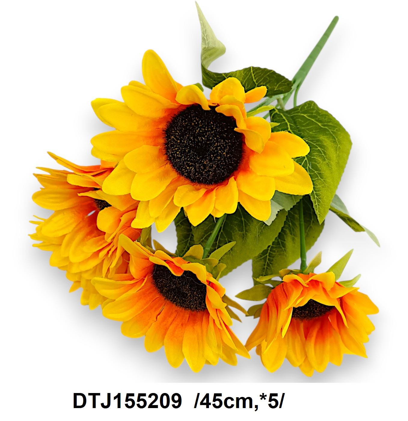 DTJ155209
