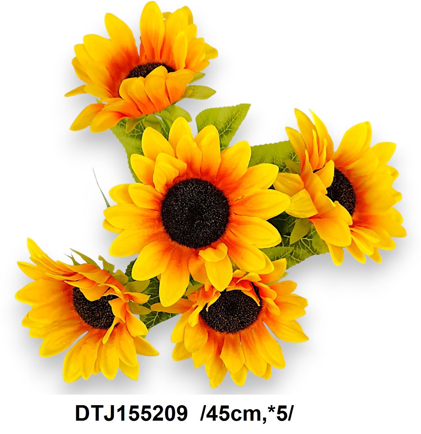 DTJ155209
