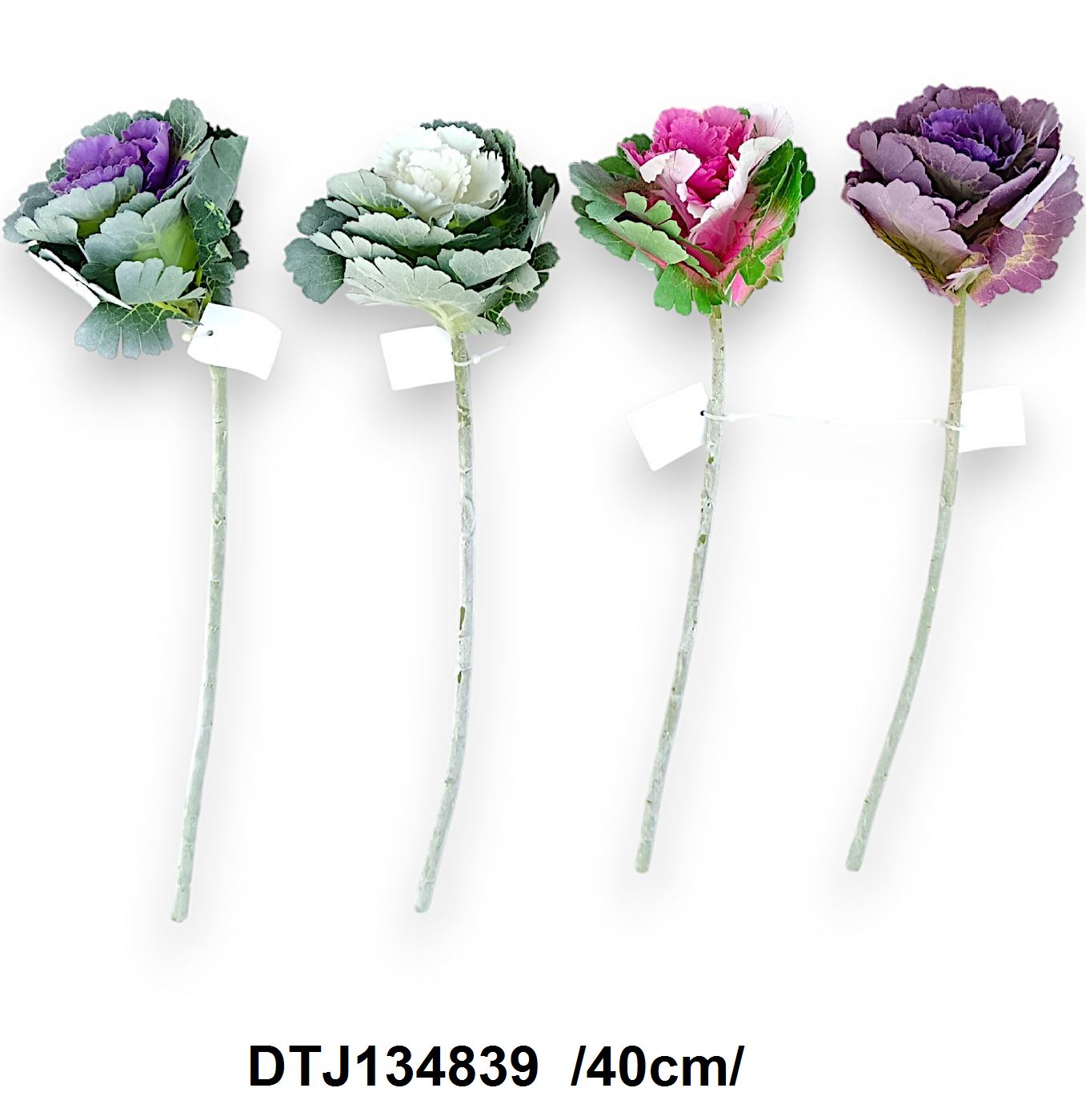 DTJ134839