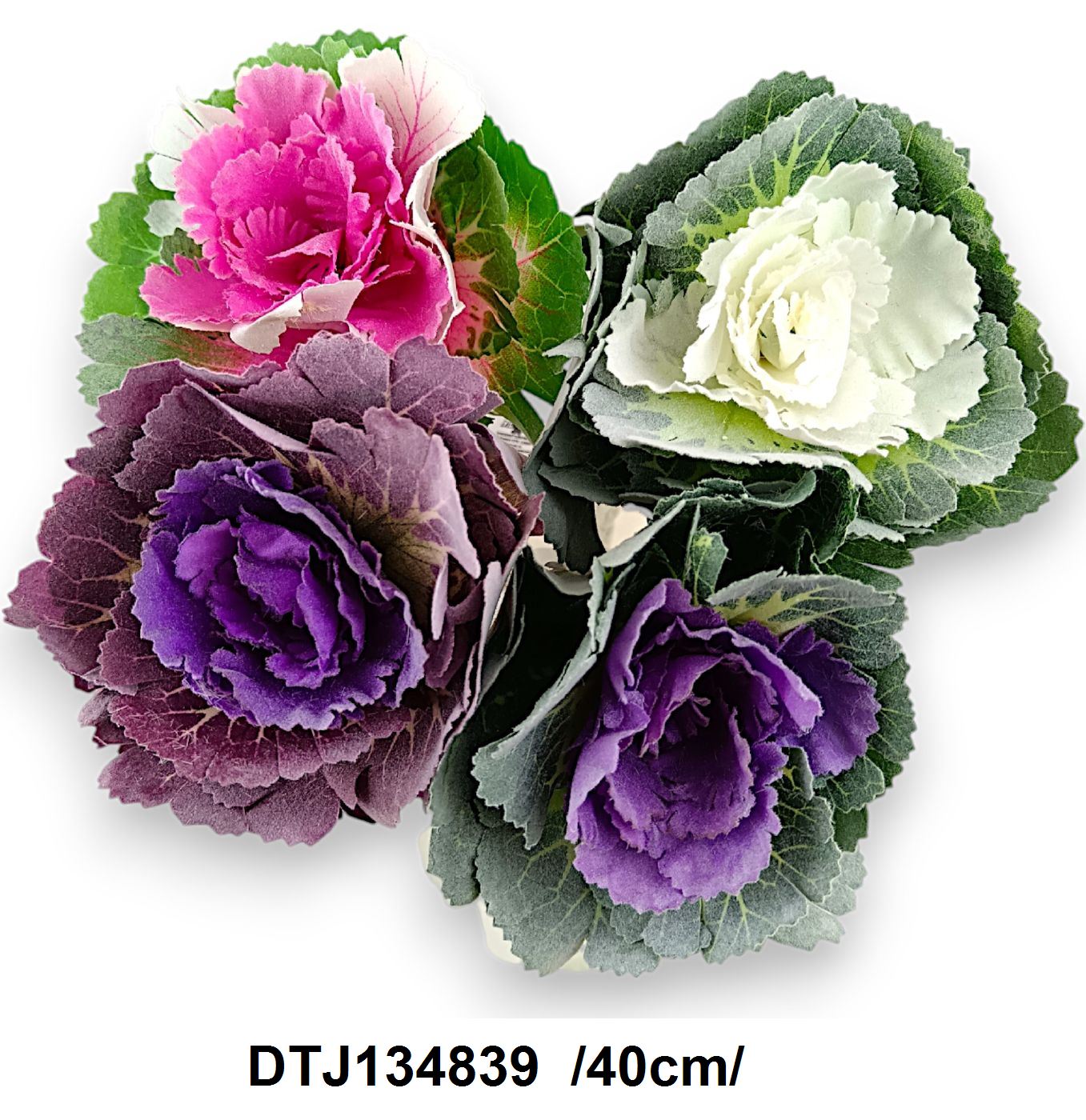 DTJ134839