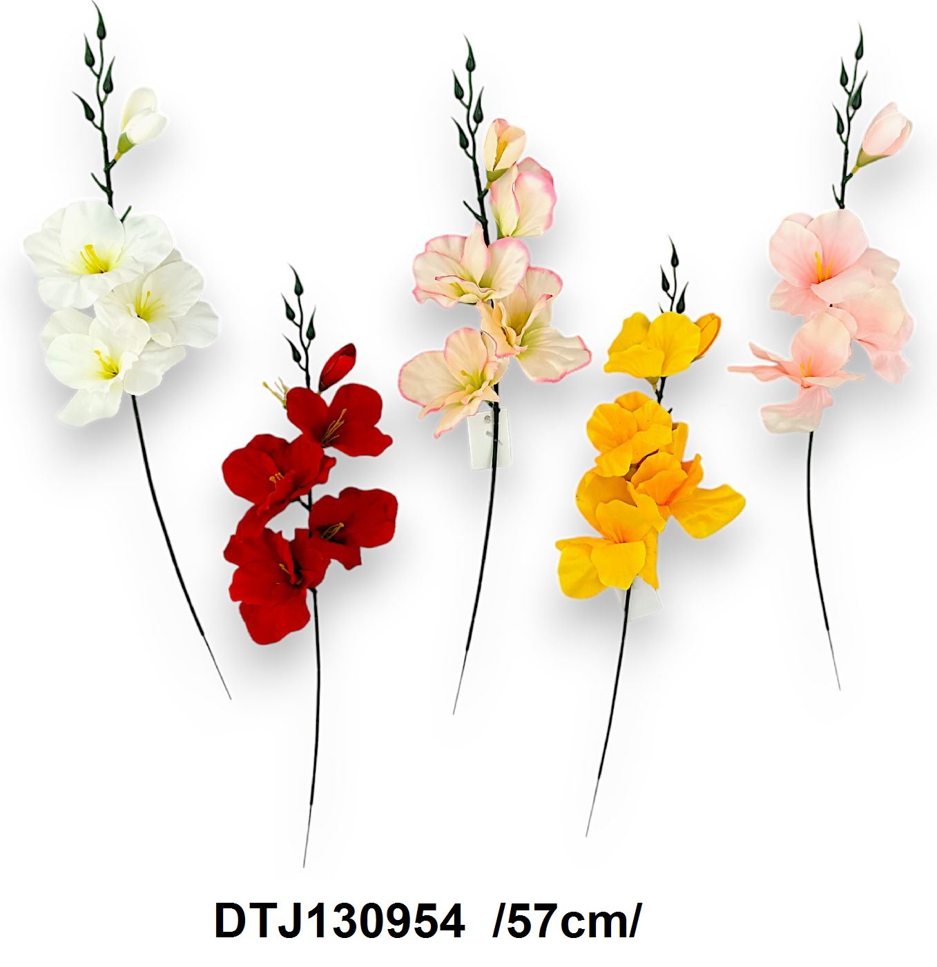 DTJ130954
