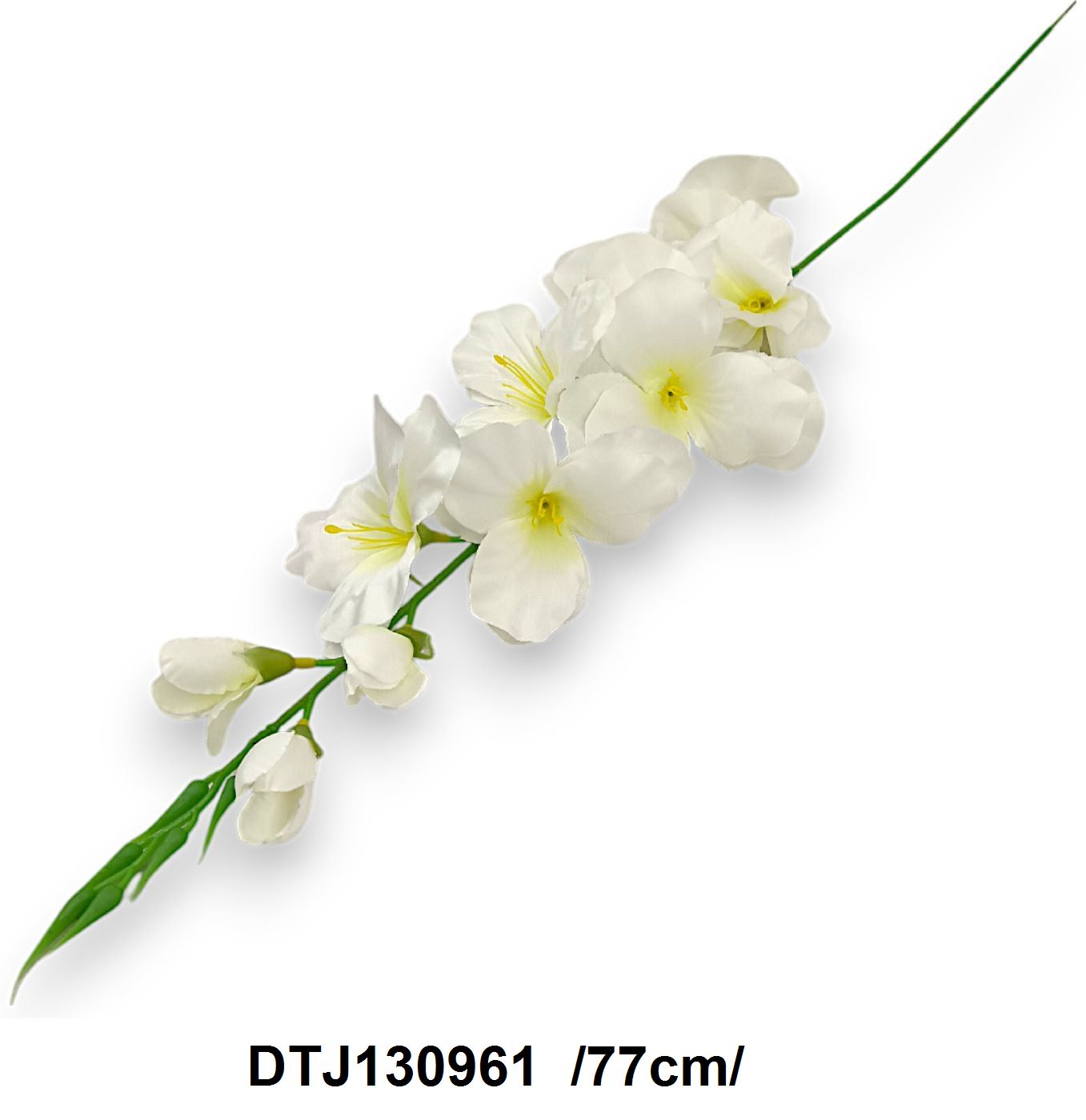 DTJ130961
