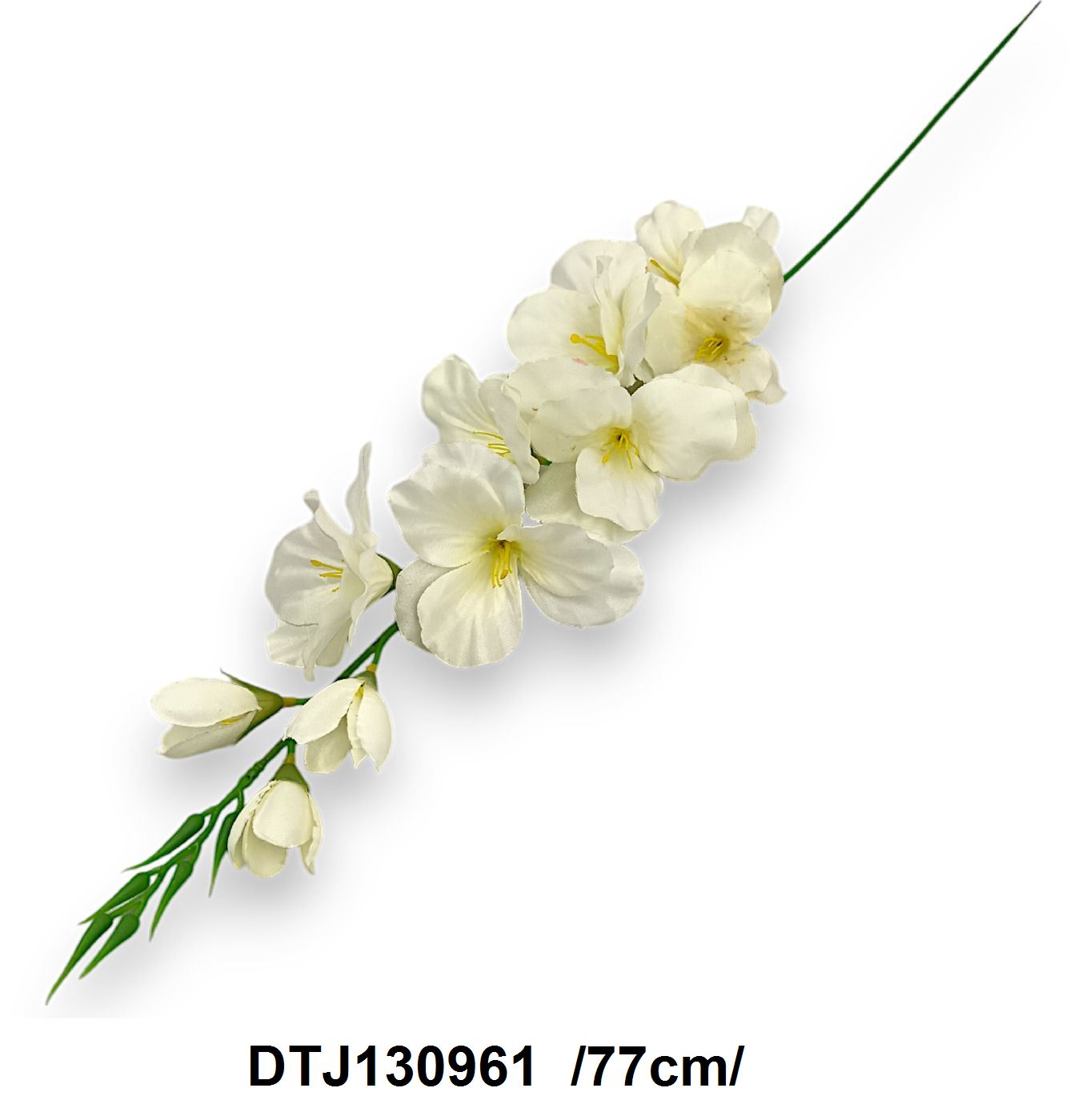 DTJ130961