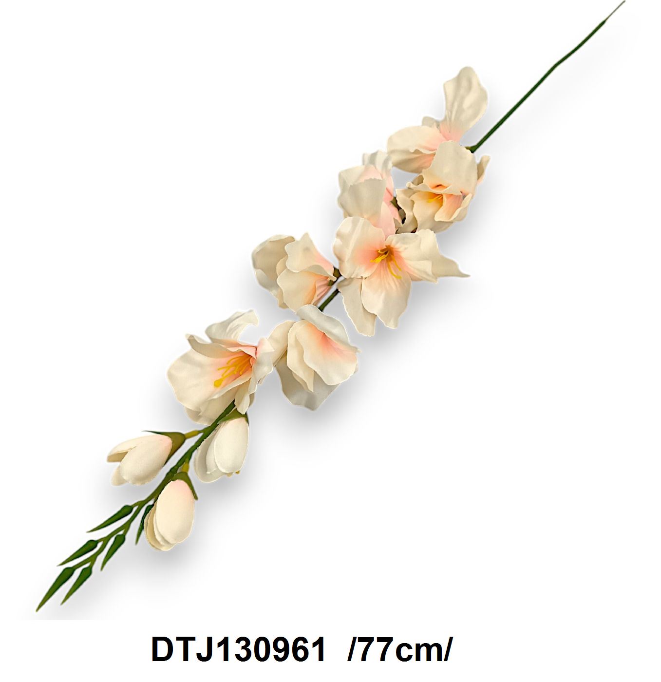 DTJ130961