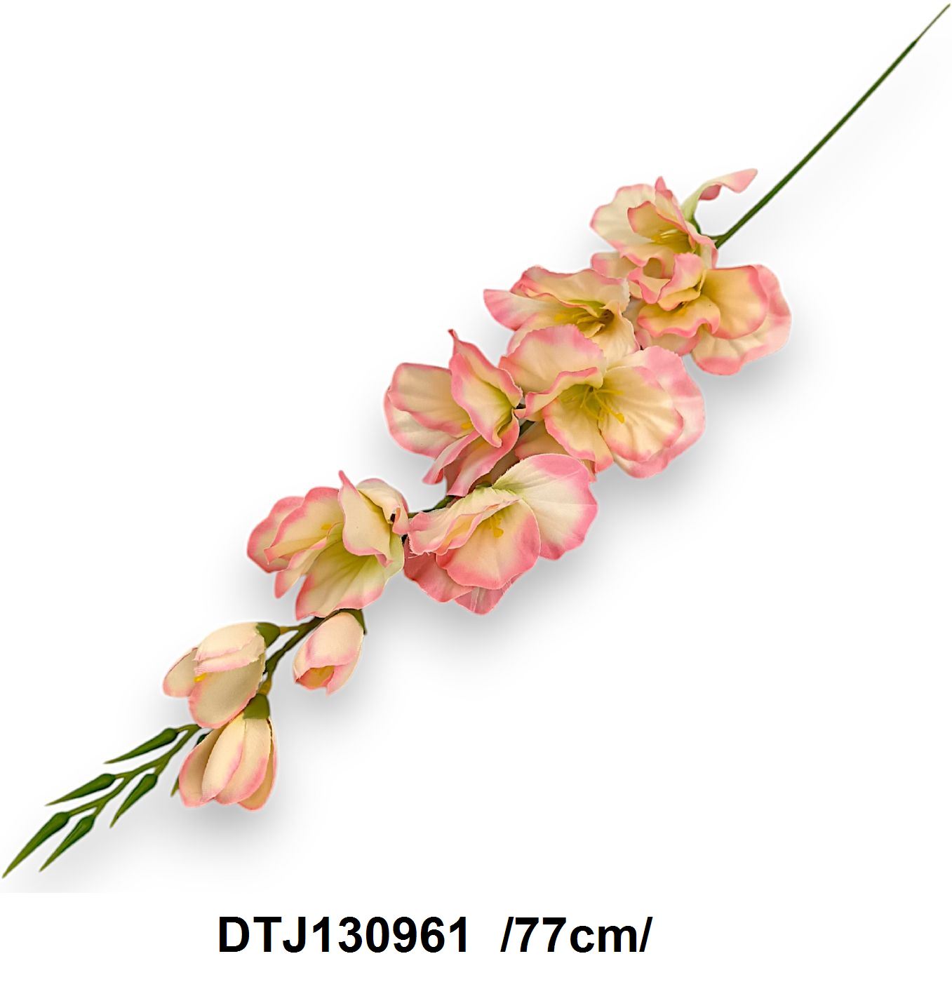 DTJ130961