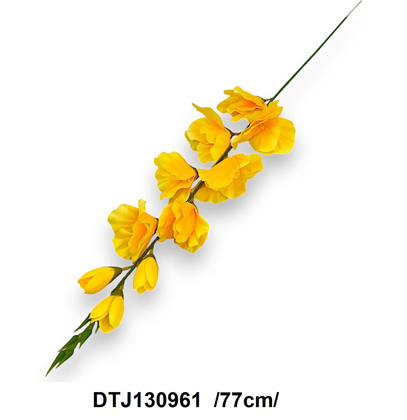 DTJ130961